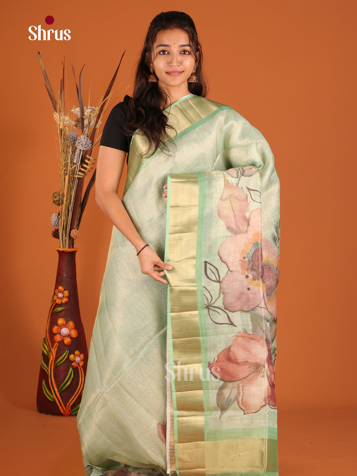 Light Green - Semi Organza Saree - Shop on Shrus.com