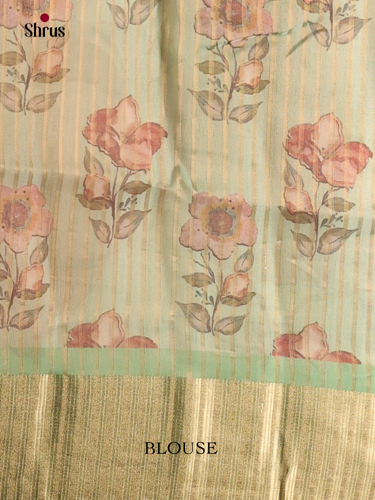 Light Green - Semi Organza Saree - Shop on Shrus.com