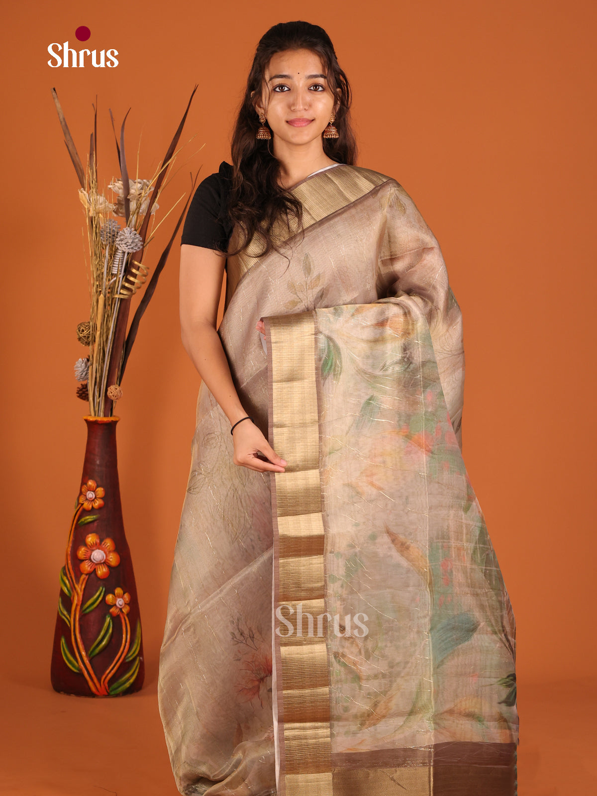 Dusty Brown - Semi Organza Saree