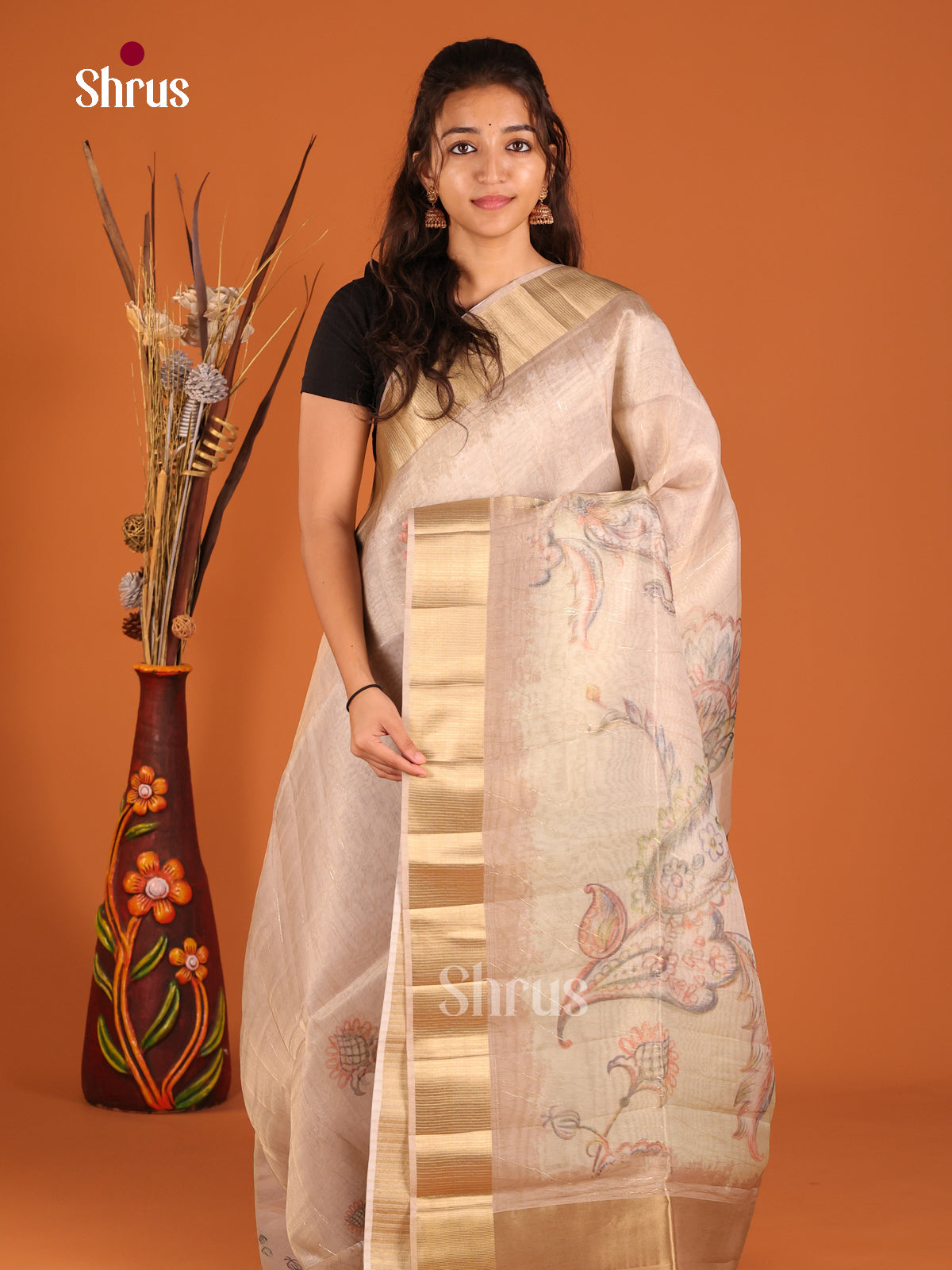 Grey - Semi Organza Saree