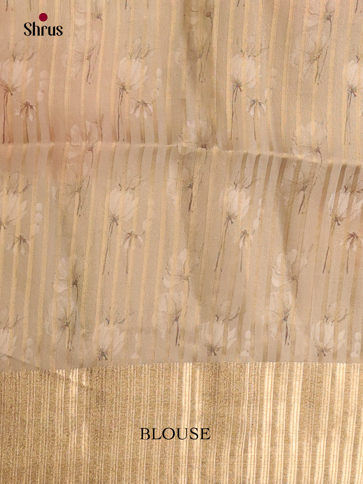 Cream & Grey - Semi Organza Saree