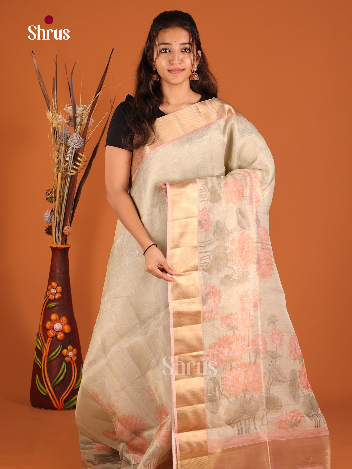 Grey & Brown - Semi Organza Saree