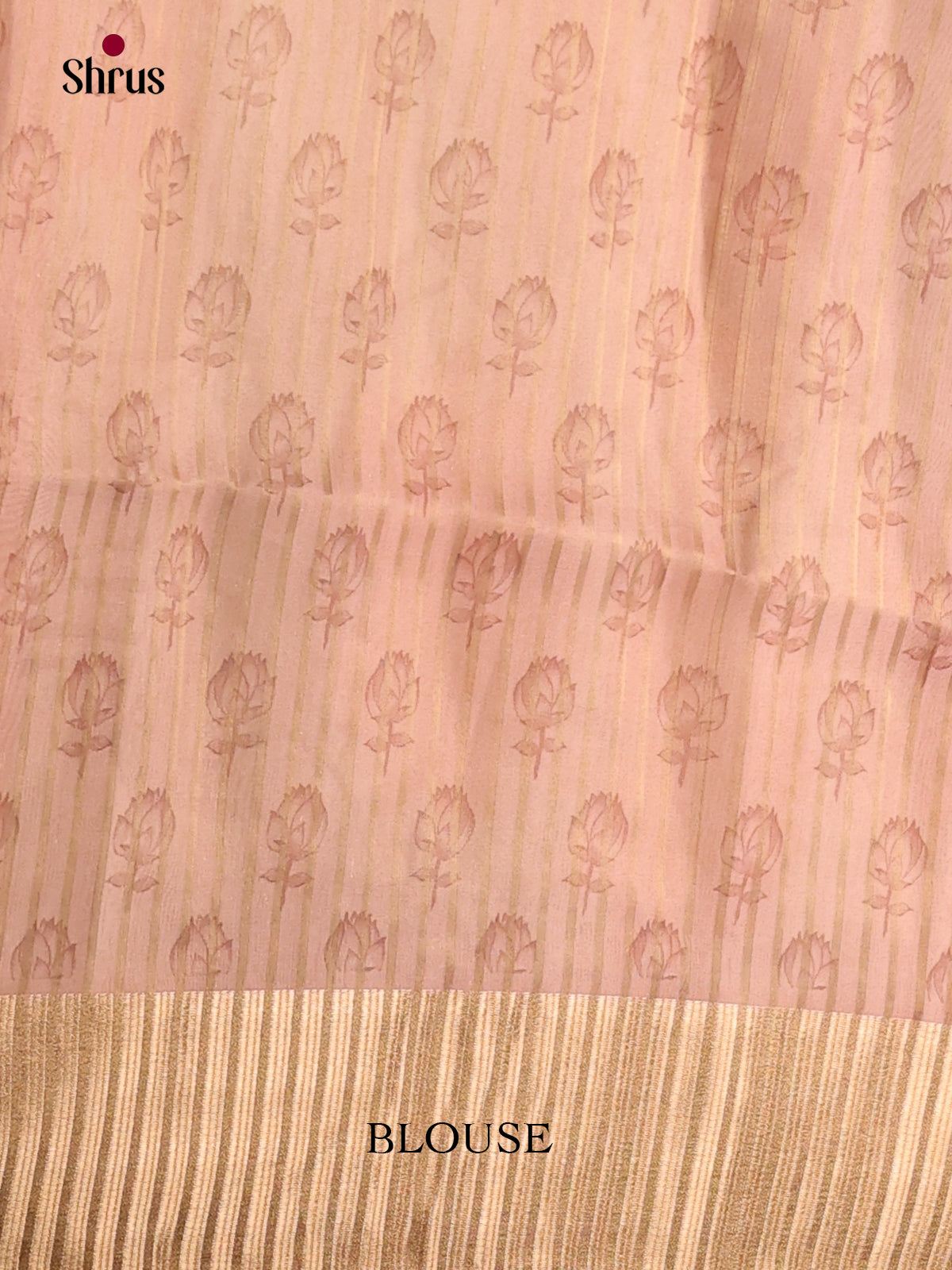 Grey & Brown - Semi Organza Saree