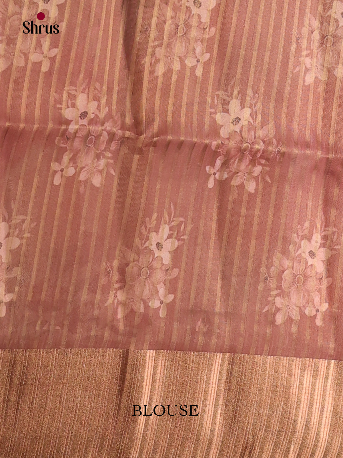 Dusty Brown - Semi Organza Saree - Shop on Shrus.com