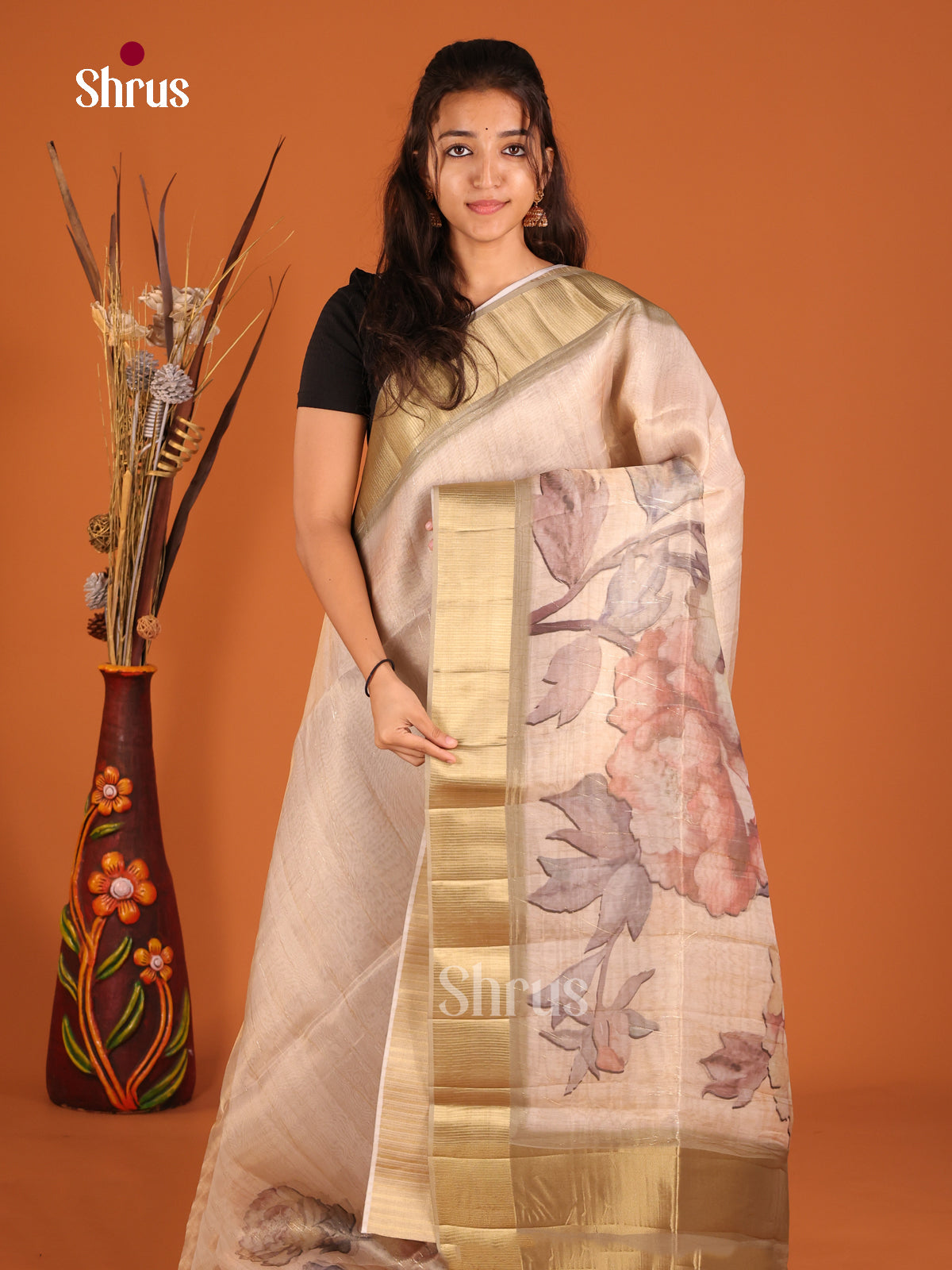 Dusty Brown & Grey - Semi Organza Saree