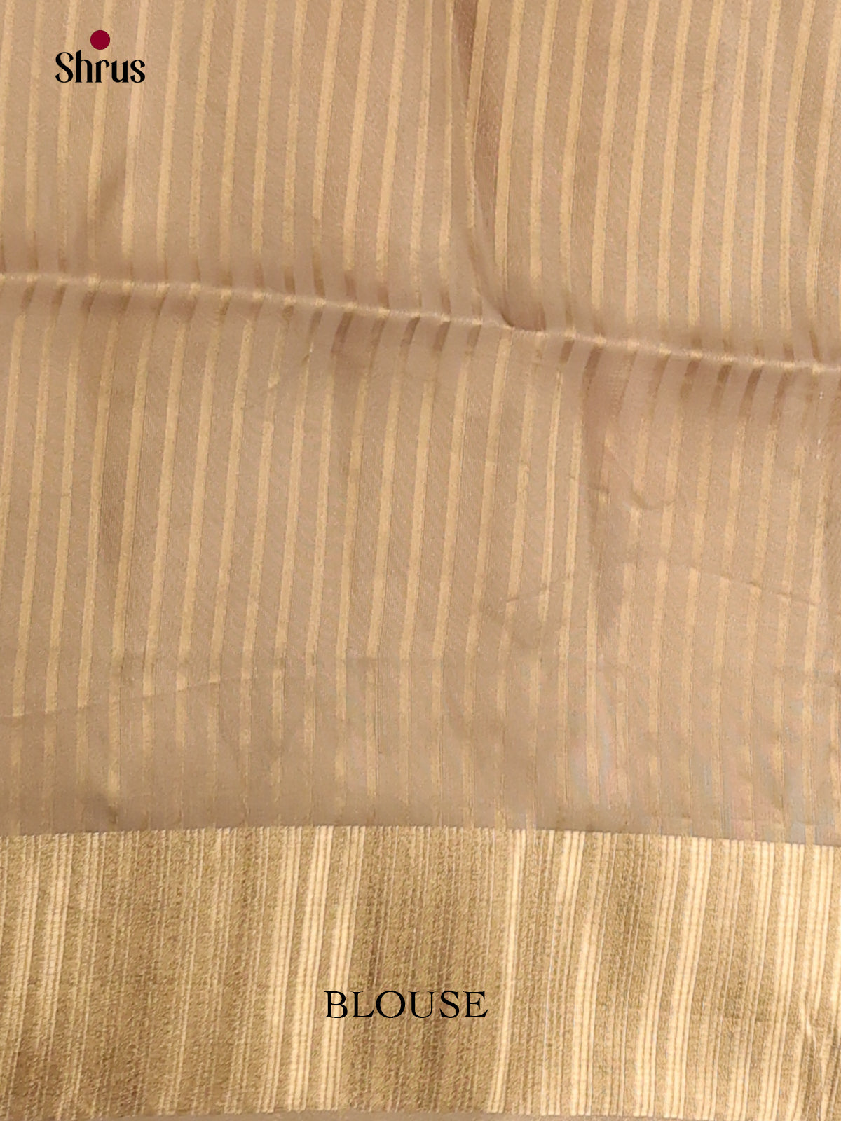 Dusty Brown & Grey - Semi Organza Saree