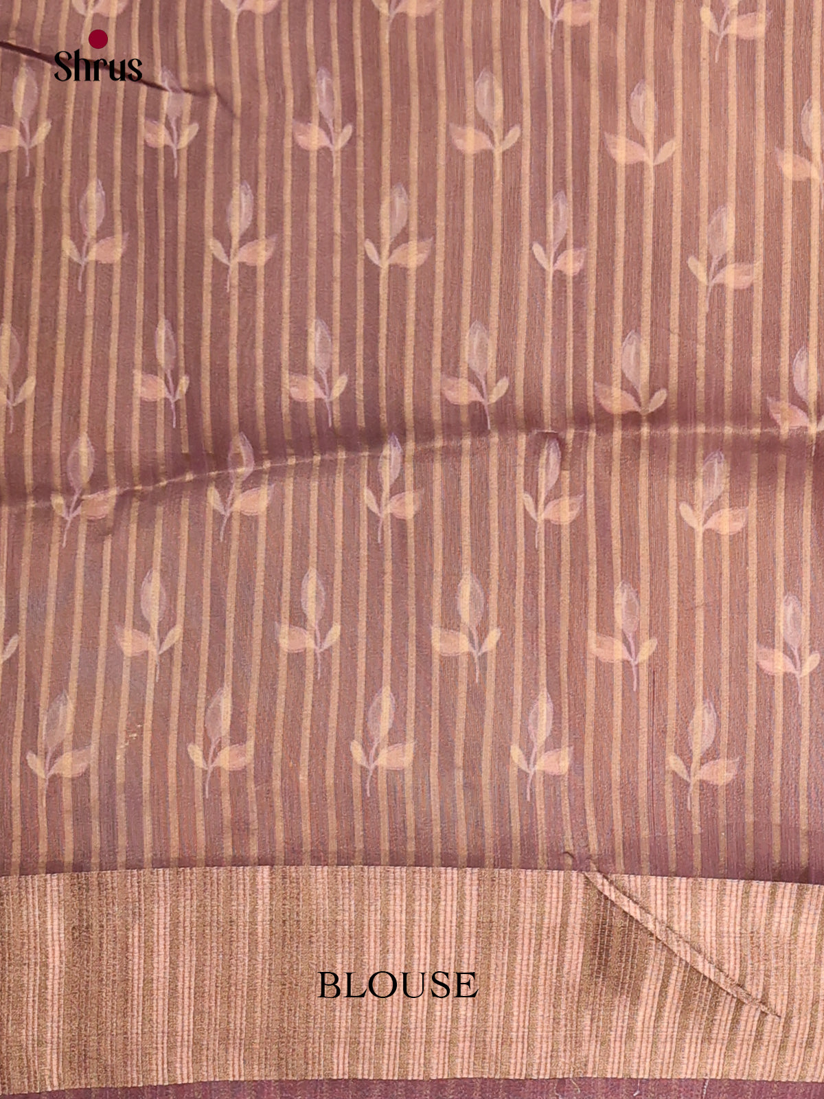 Purple & Brown - Semi Organza Saree - Shop on Shrus.com