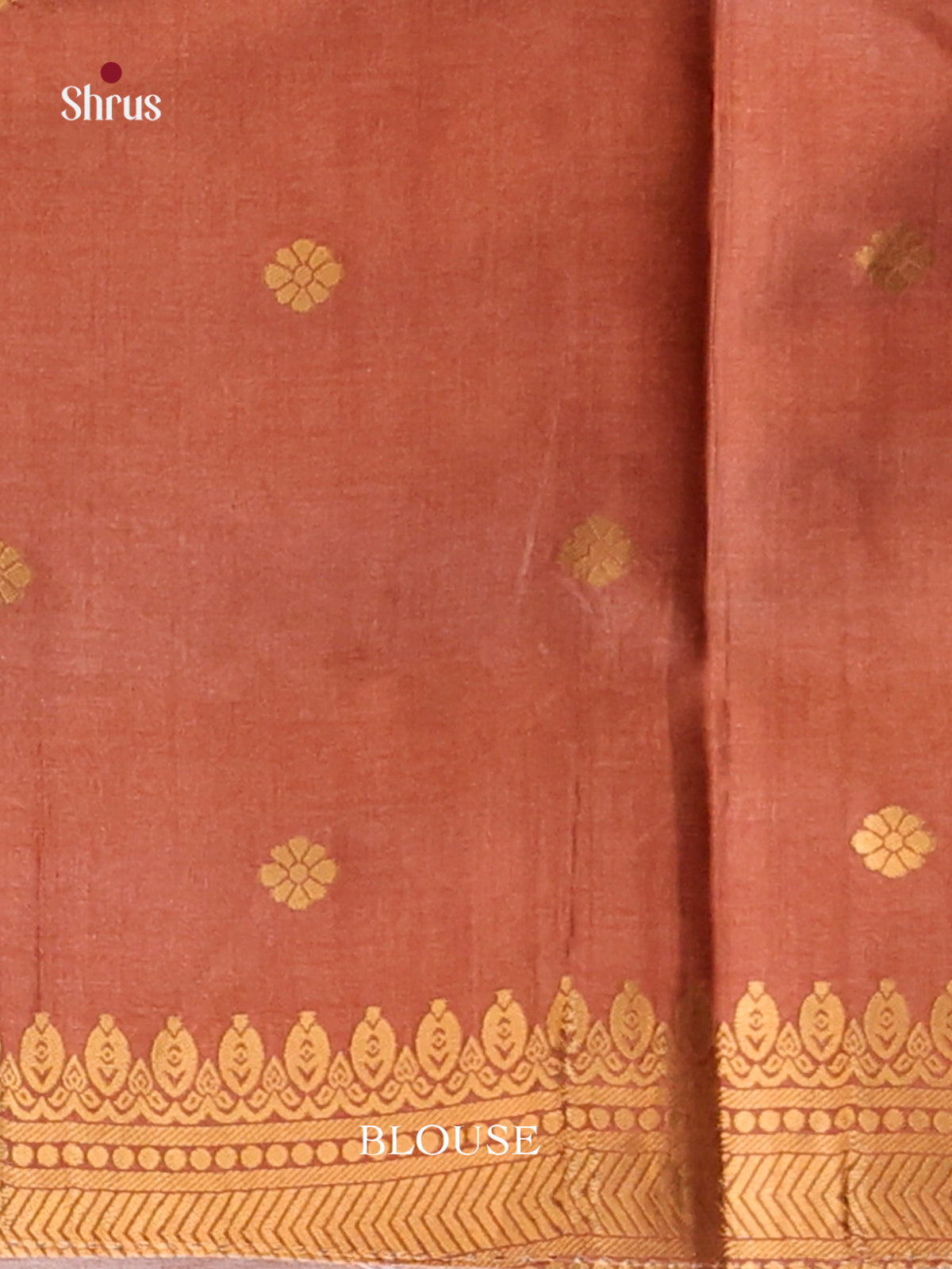 DHS23093 - Semi Tussar Saree - Shop on Shrus.com