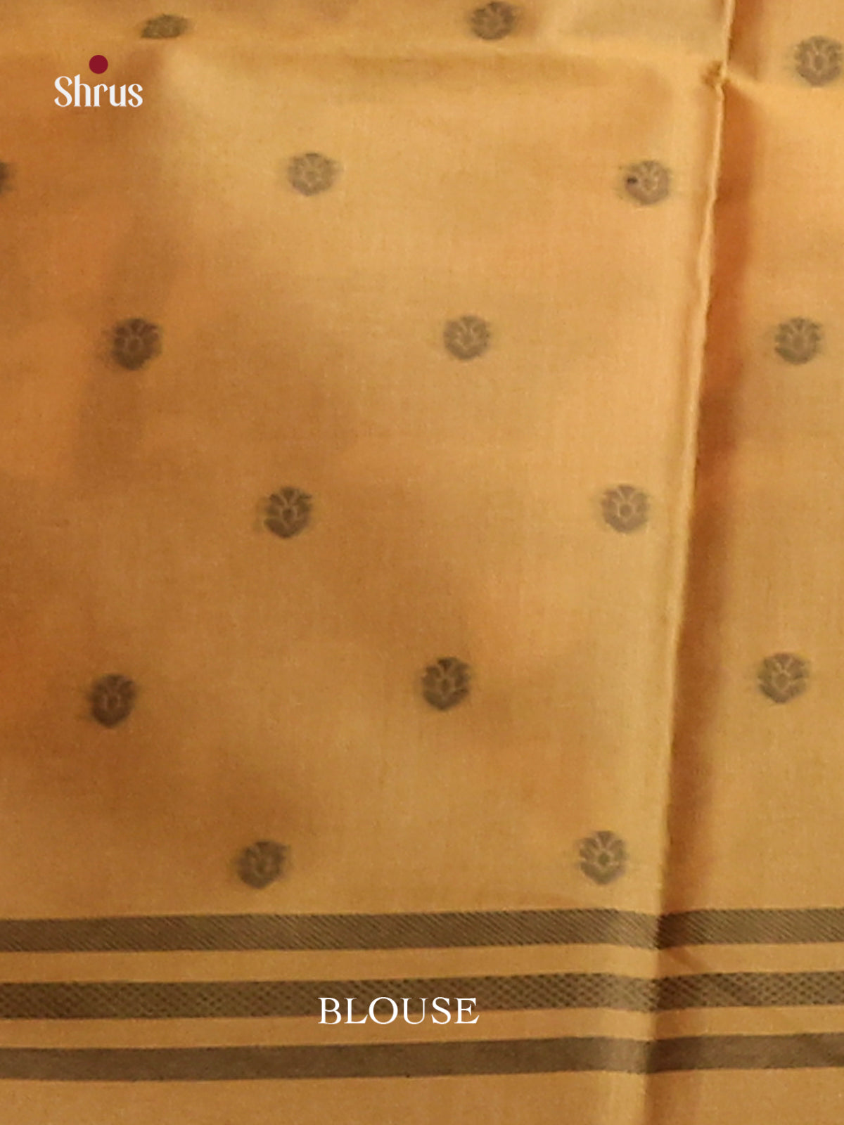 Gold - Semi Tussar Saree