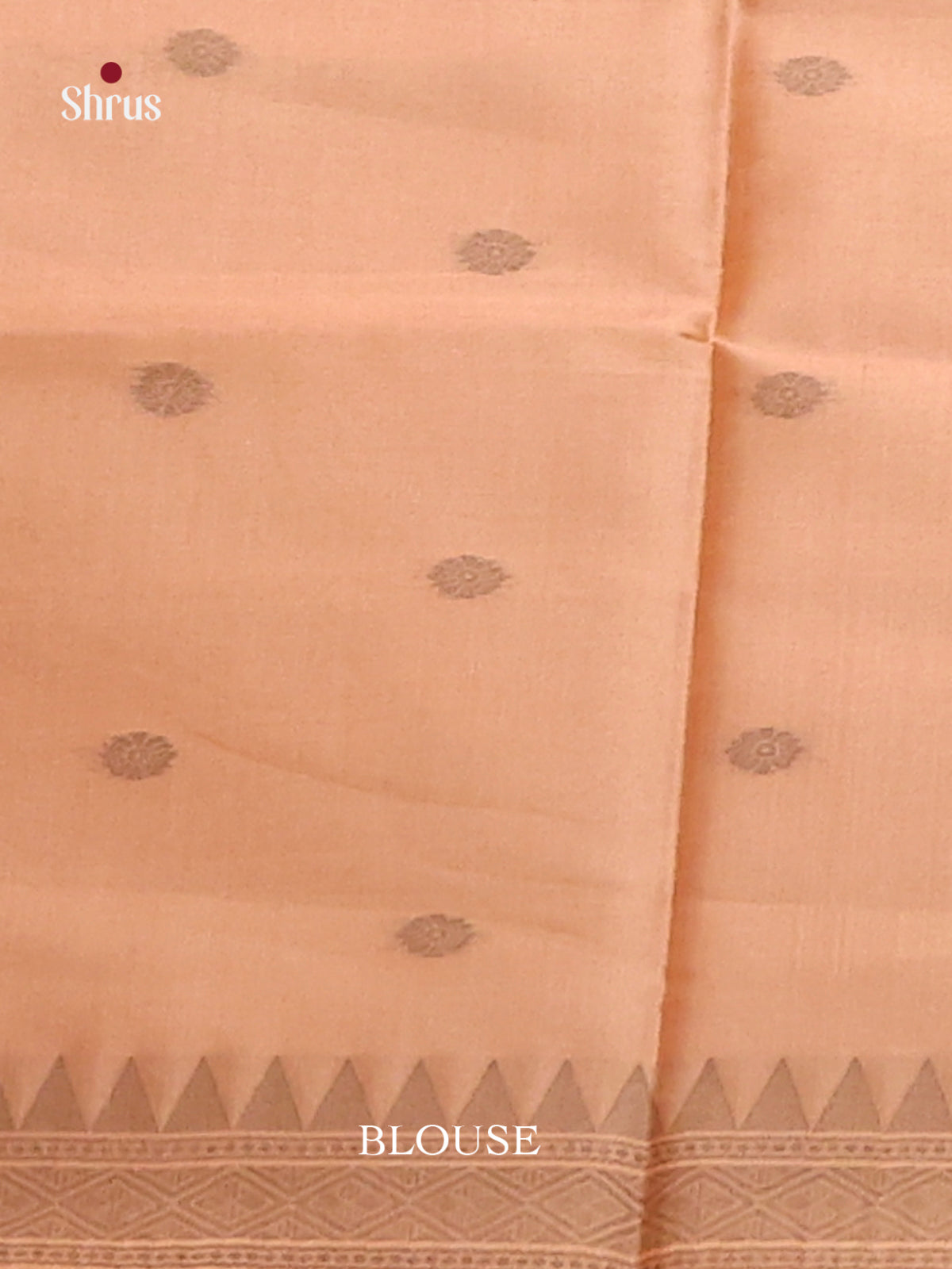 Dusty Brown - Semi Tussar Saree