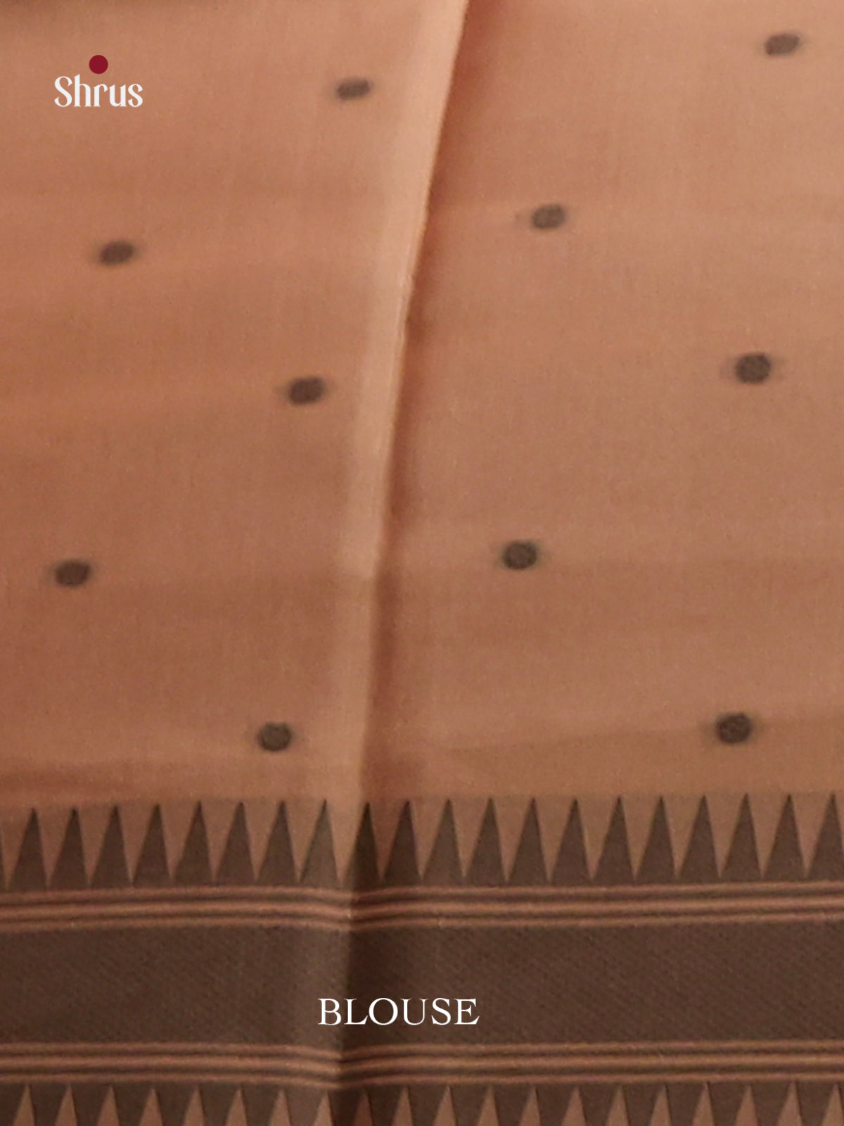Brown - Semi Tussar Saree