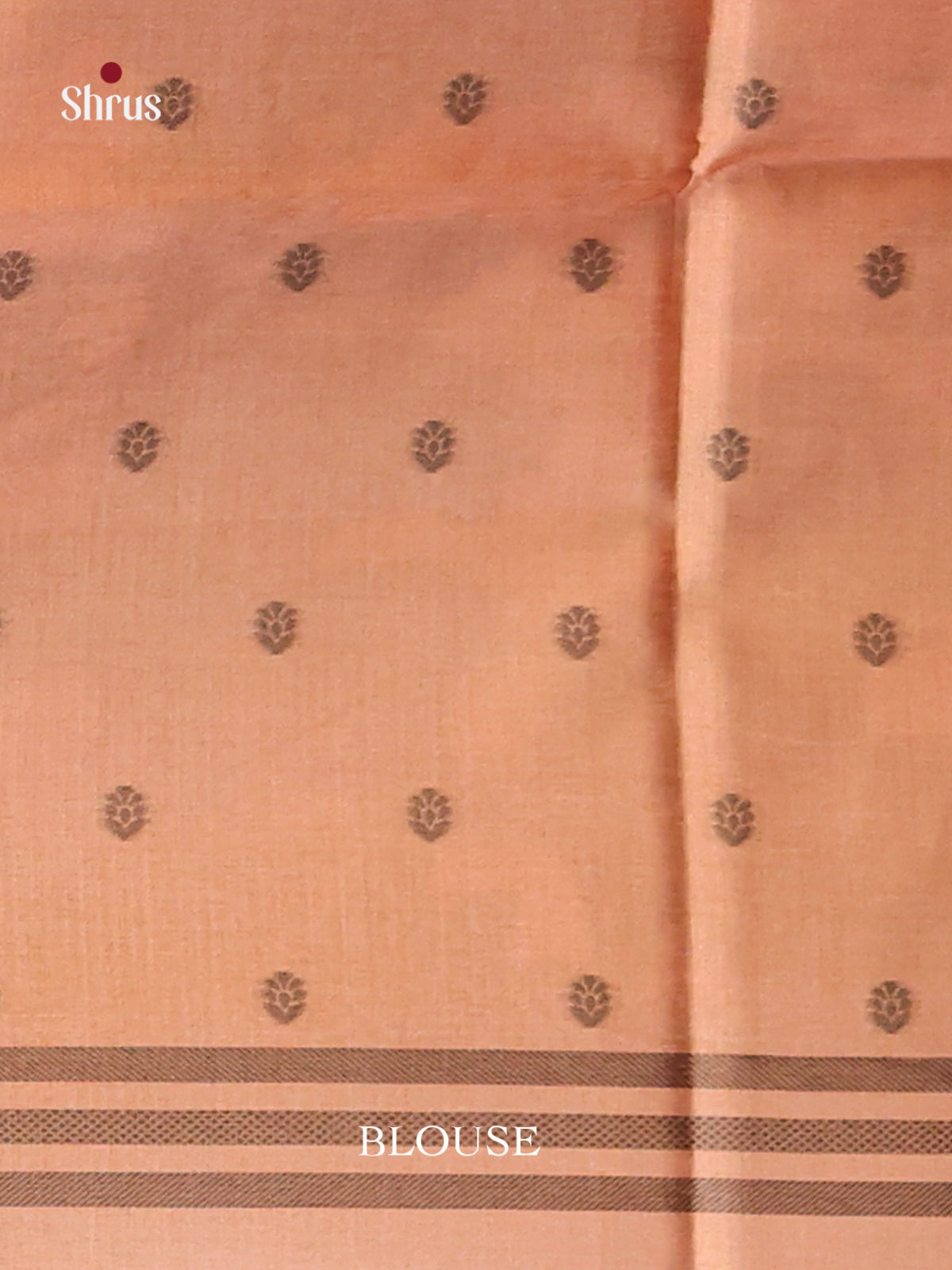 DHS23148 - Semi Tussar Saree - Shop on Shrus.com