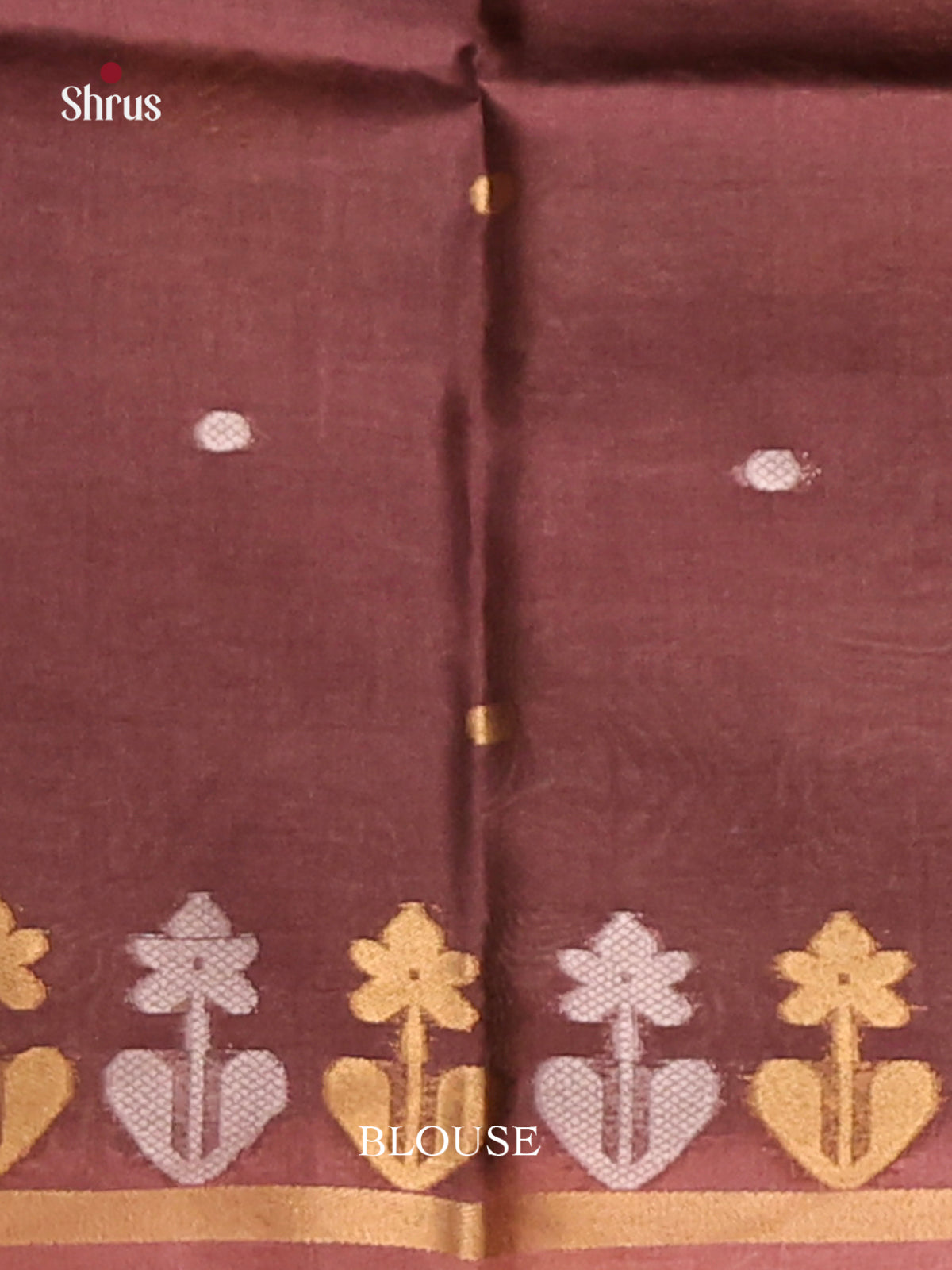 Beige & brown- Semi Tussar Saree
