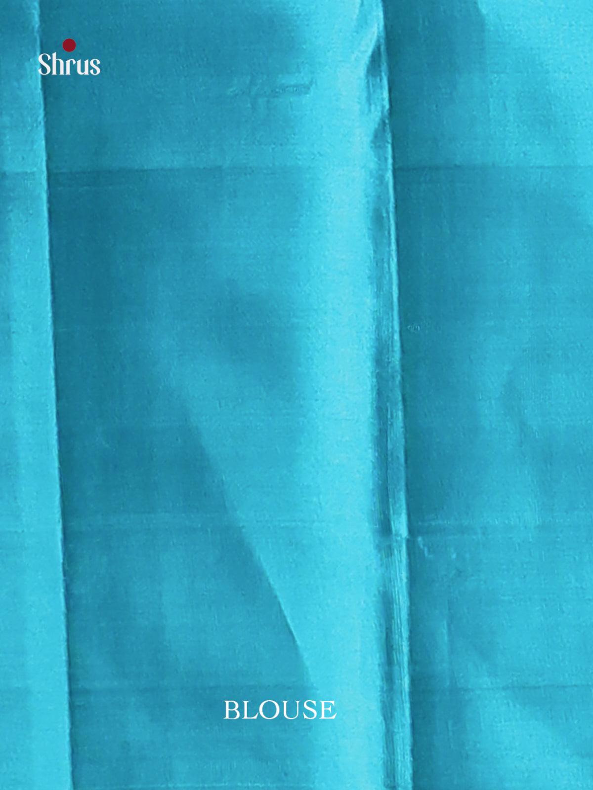 Exquisite Pastel Green Kanjivaram Silk Saree with Floral Brocade & Blue Zari Border -2