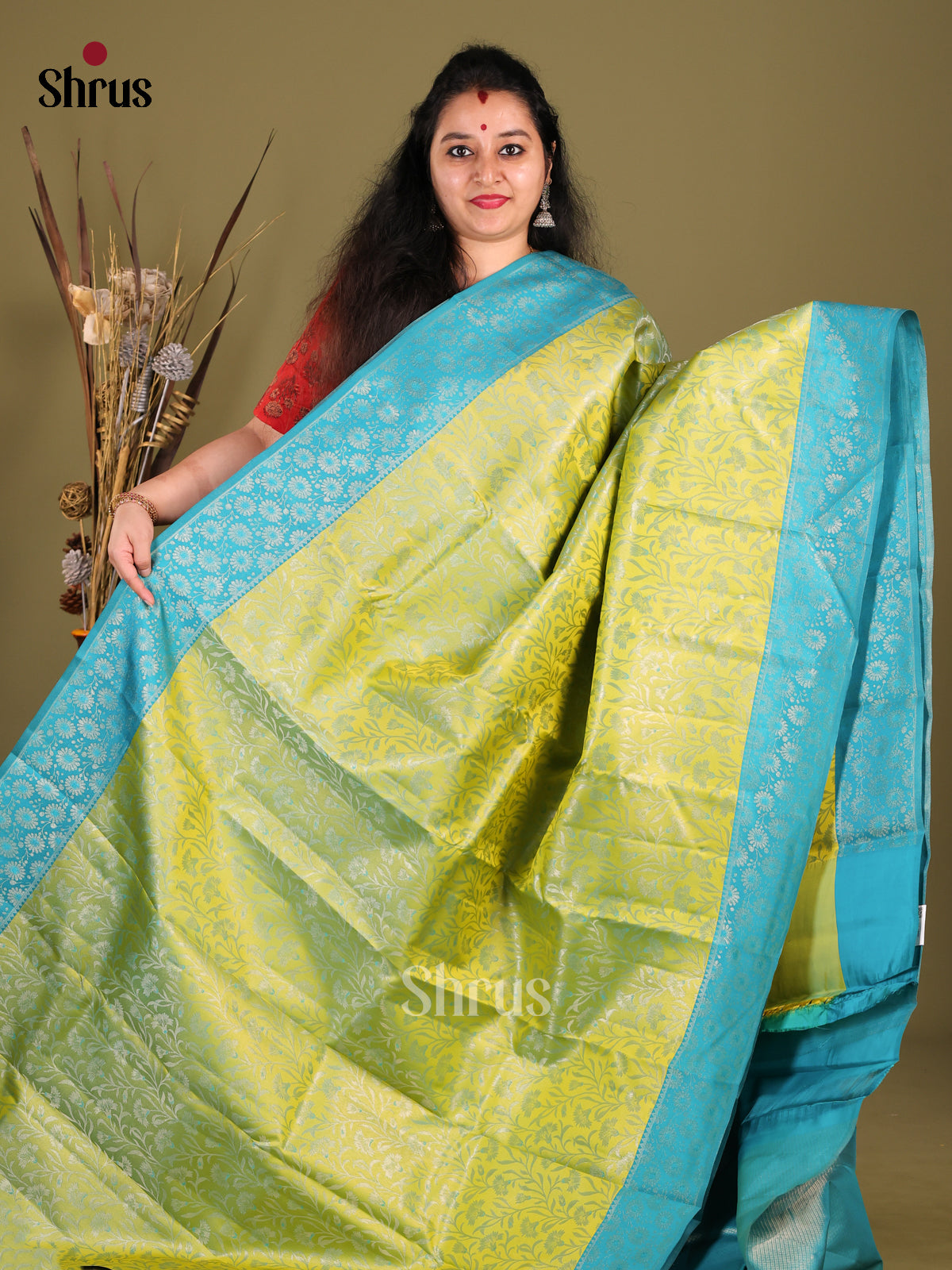 Classic Light Green Kanjivaram silk Saree with Woven Floral brocade Body & Blue Border -1