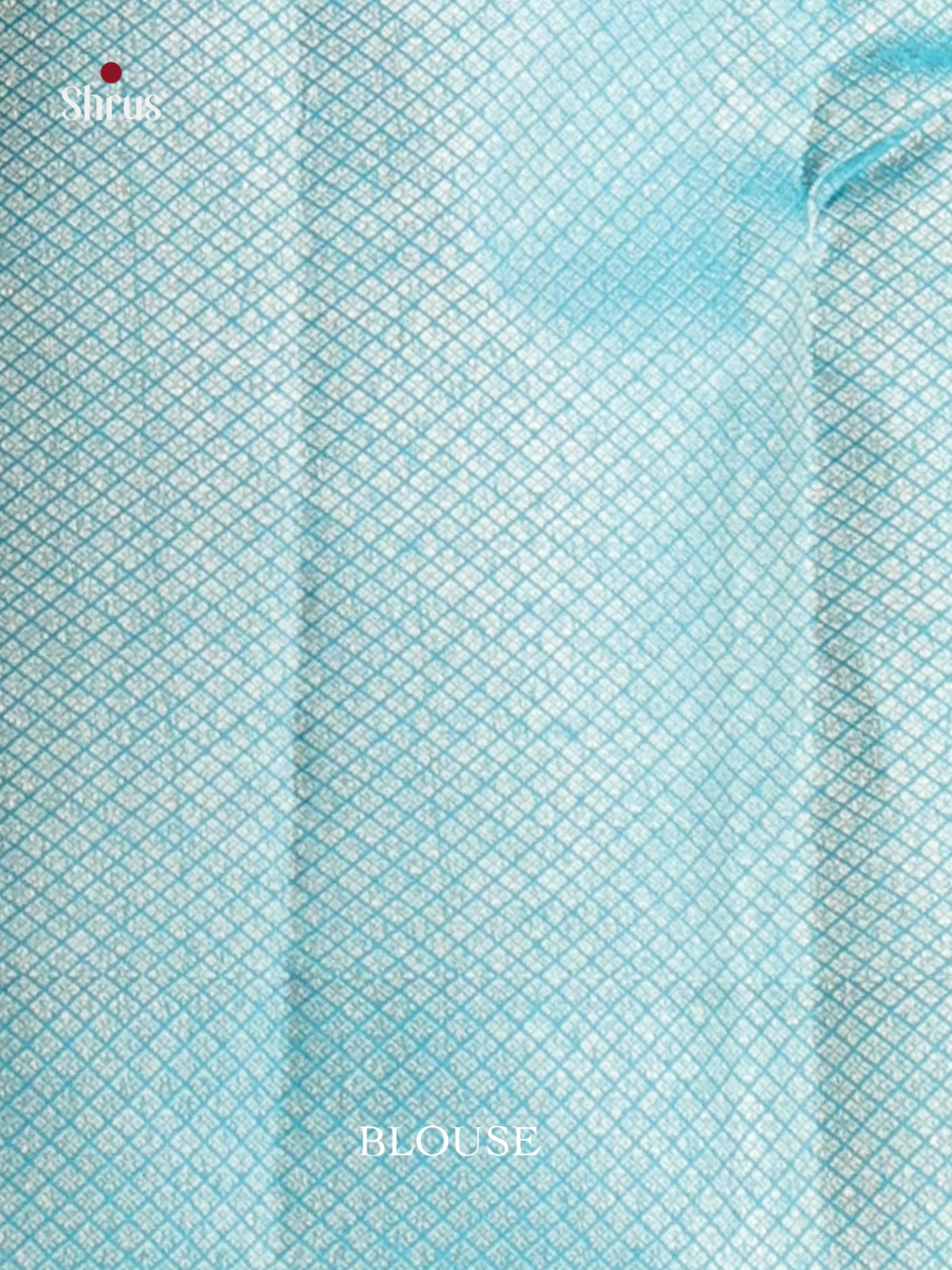Classic Light Green Kanjivaram silk Saree with Woven Floral brocade Body & Blue Border -2