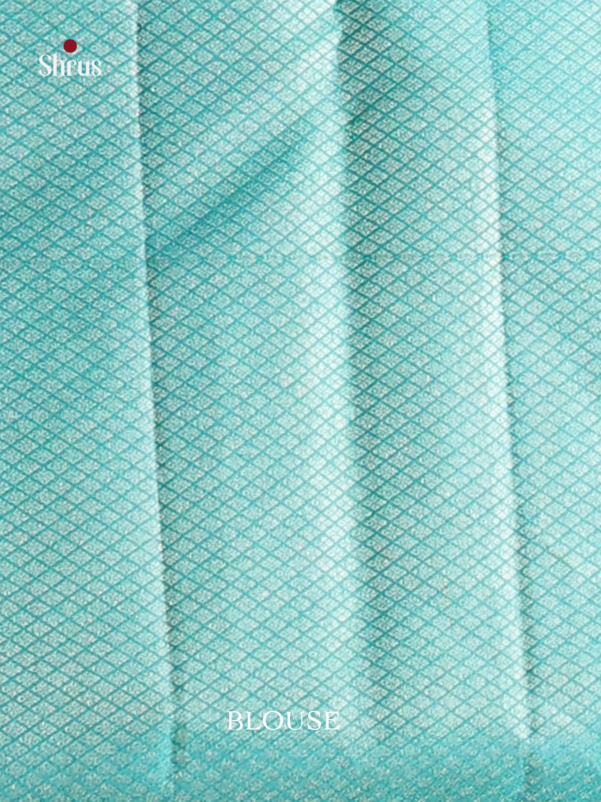 Breezy Light Green Kanjivaram silk Saree with floral nestling brocade & Blue Border -2