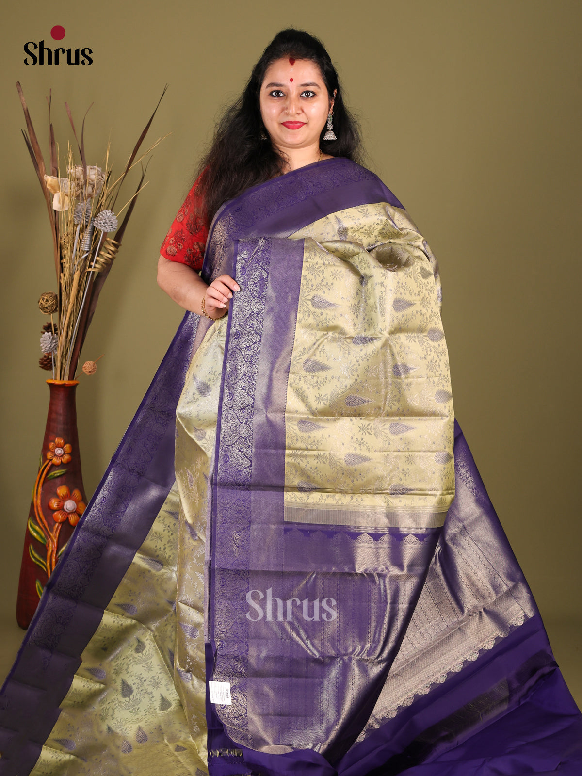 Pastel Green & blue Kanchipuram silk Saree with zari brocade border