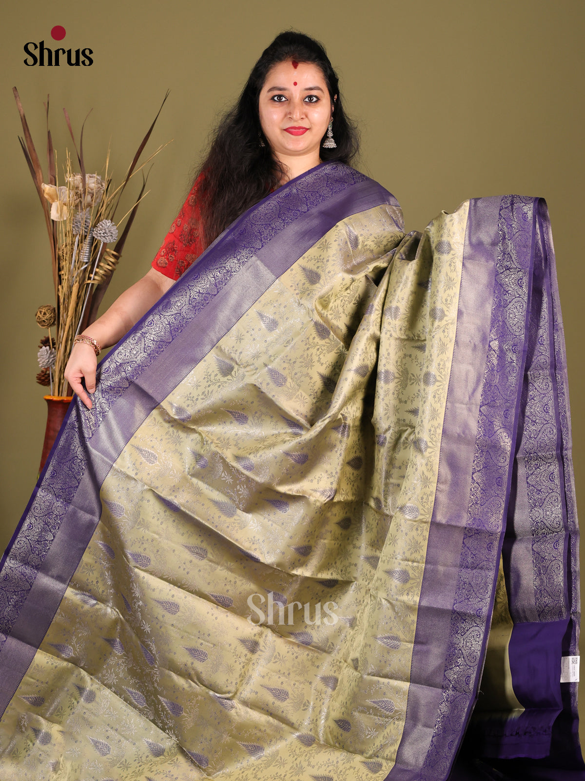 Pastel Green & blue Kanchipuram silk Saree with zari brocade border -1