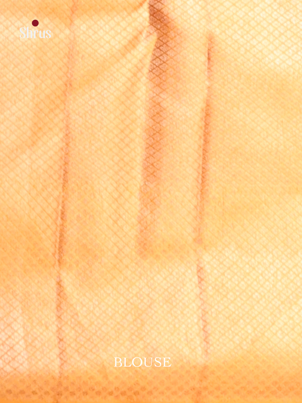 Light Green & Orange Kanchipuram silk Saree with zari floral nestling brocade -2