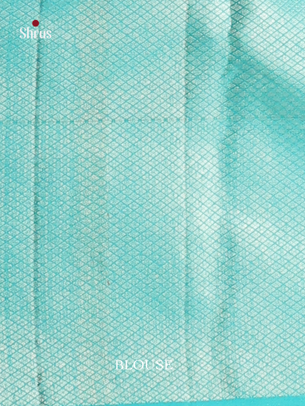 Exquisite Rust Orange Kanjivaram silk Saree with floral Nestling brocade & Sky Blue Border