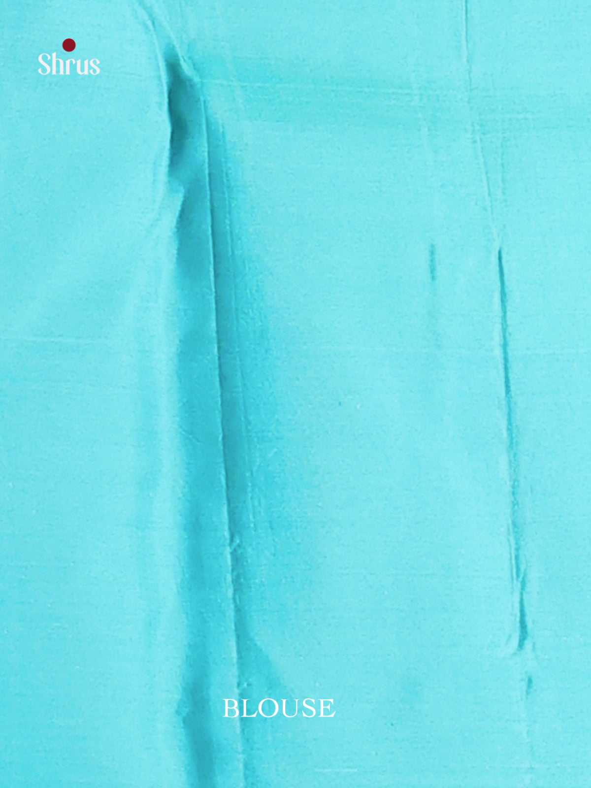 Light Green & Blue Kanchipuram silk Saree with floral brocade -2