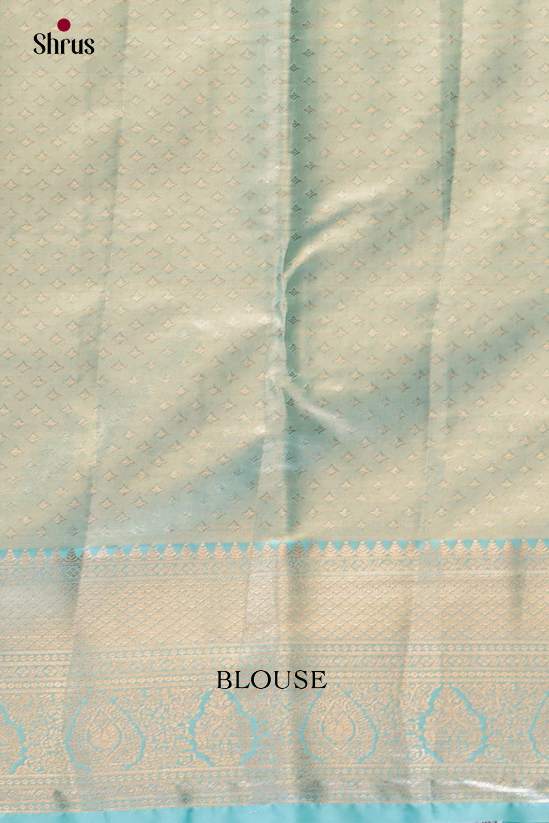 Cream & Light Blue - Kanchipuram-halfpure Saree 2
