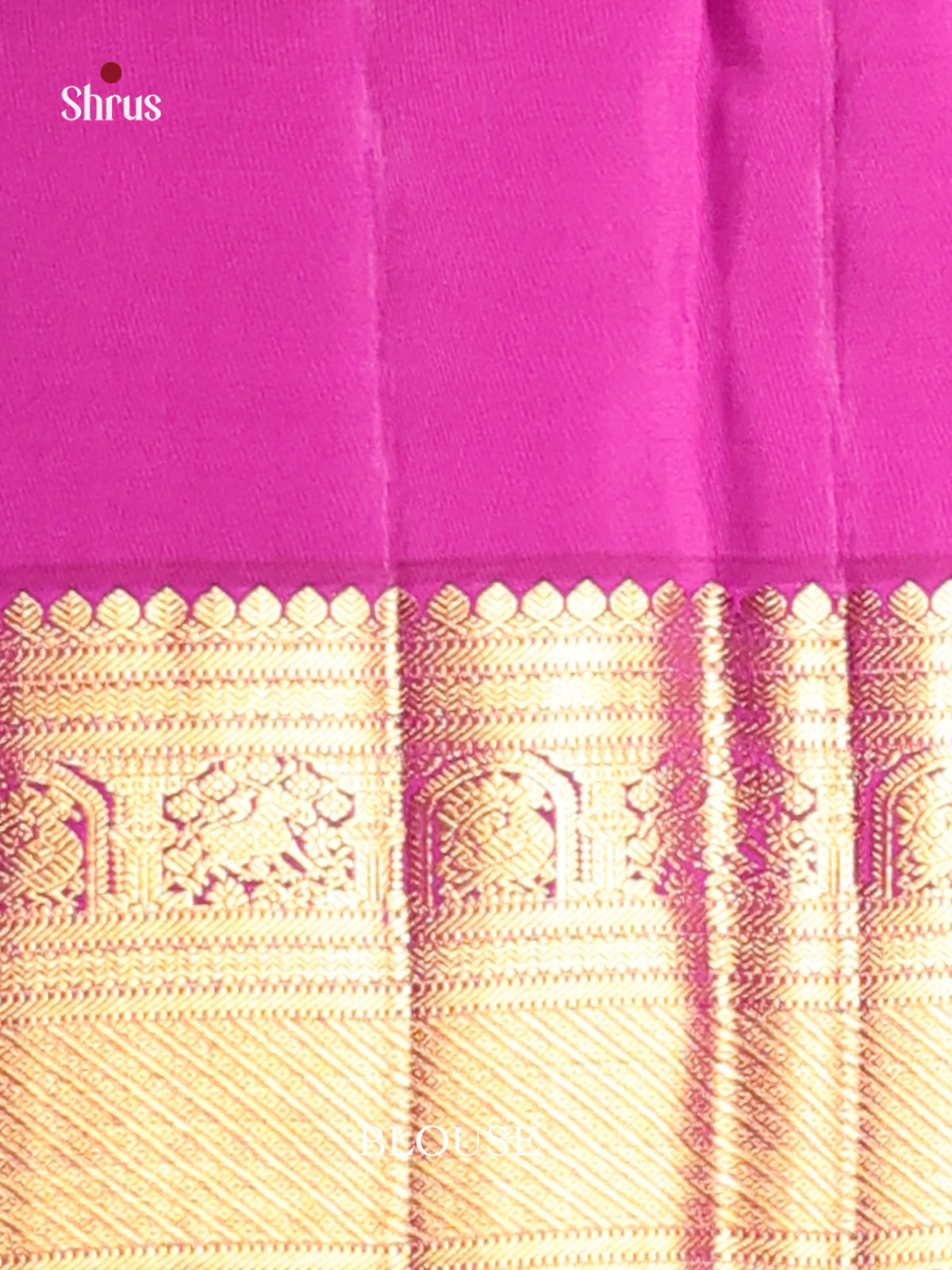 Artisanal Pastel Blue Kanchipuram Saree with Golden floral nestling brocade & Purple Border -2