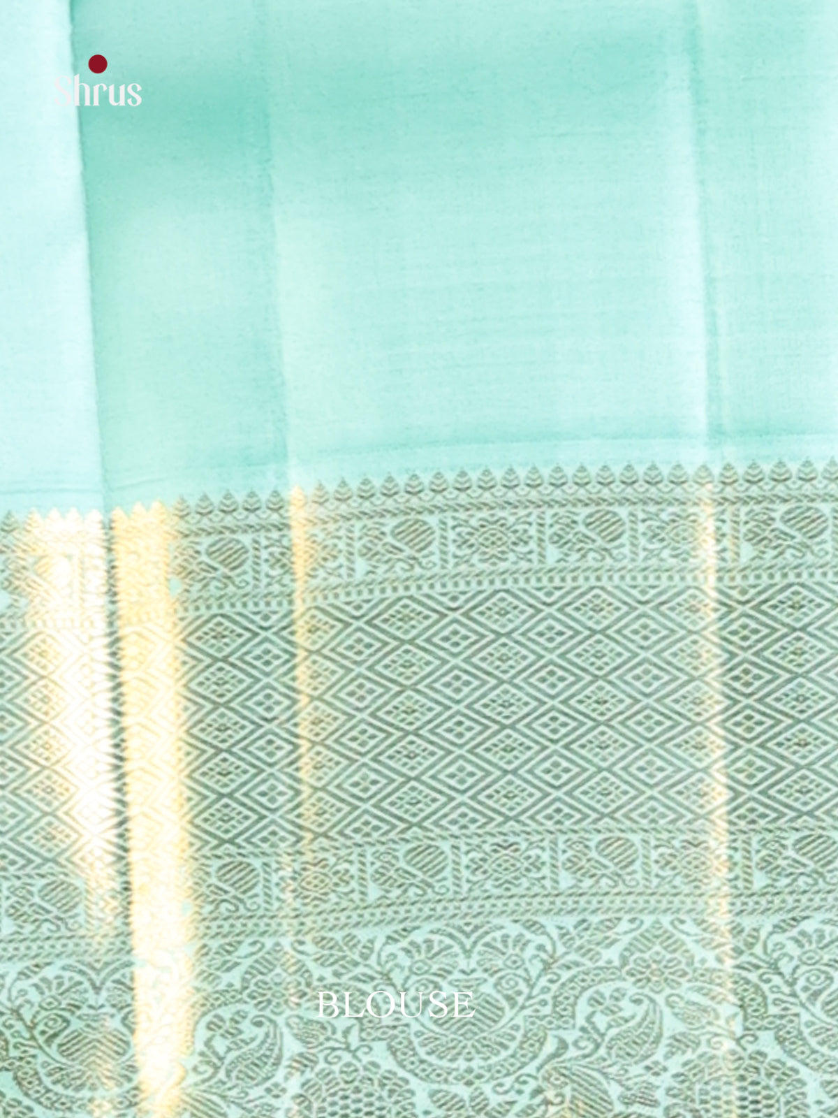 Radiant Pink Kanjivaram Saree with Golden floral brocade & Pastel Blue Zari Border -2