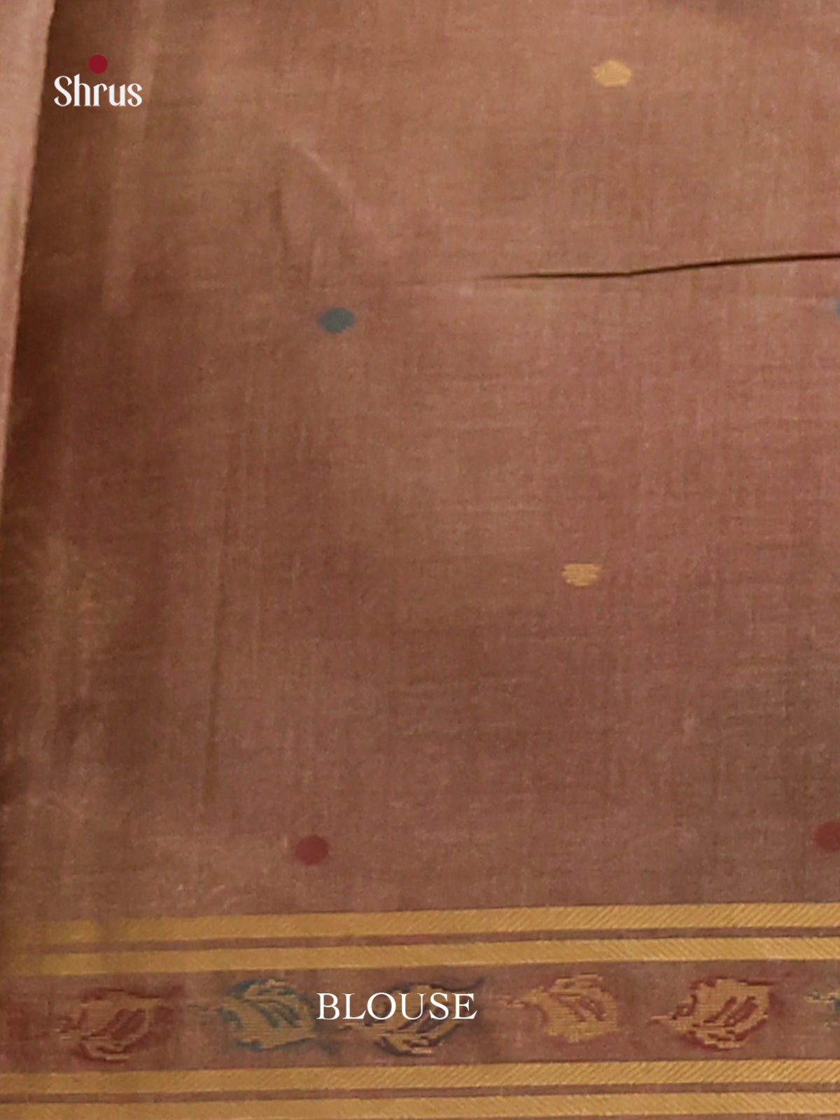 Brown - Semi Tussar Saree