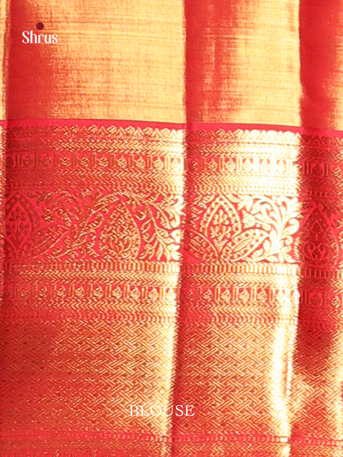 Glimmering Orange Kanchipuram Saree with Floral Brocade & Red Zari Border - Shop on Shrus.com