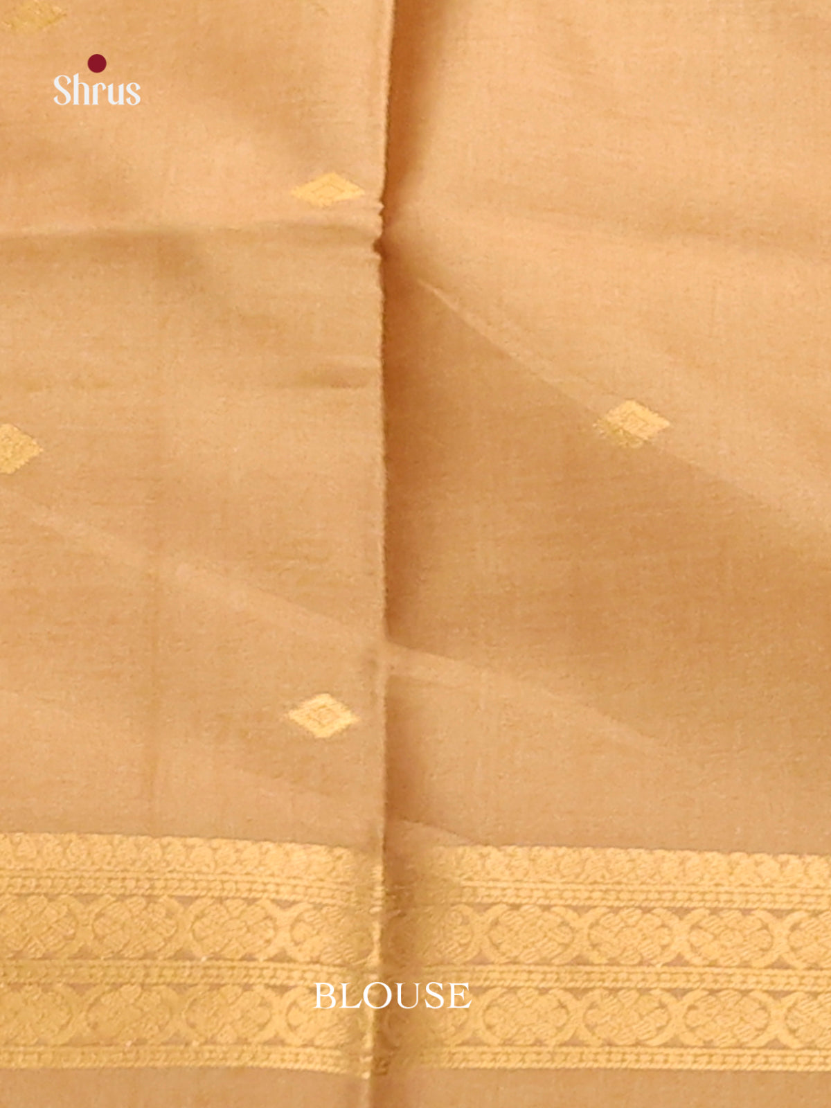 Dull Gold- Semi Tussar Saree