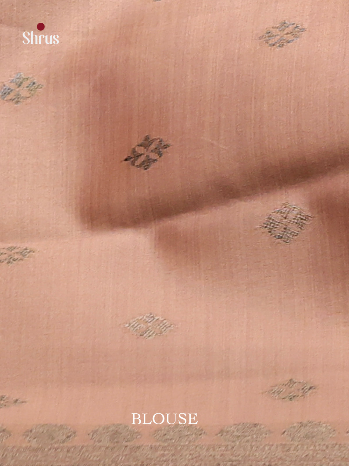 Brown - Semi Tussar Saree