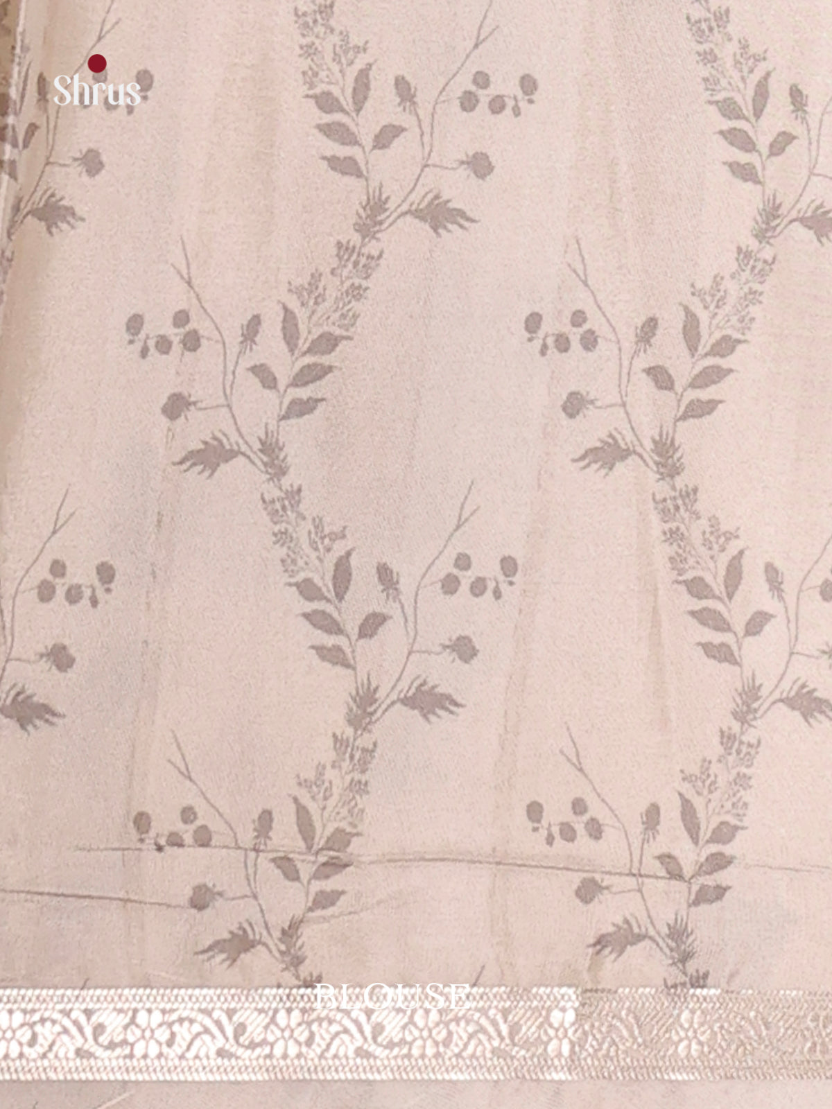 Grey & Cream - Moonga Silk Saree