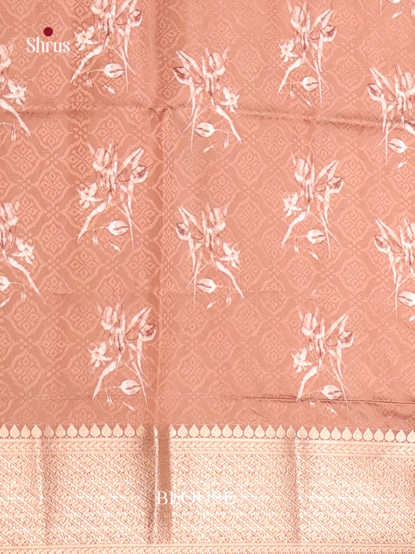 DHS25427 - Printed Semi Tussar Saree