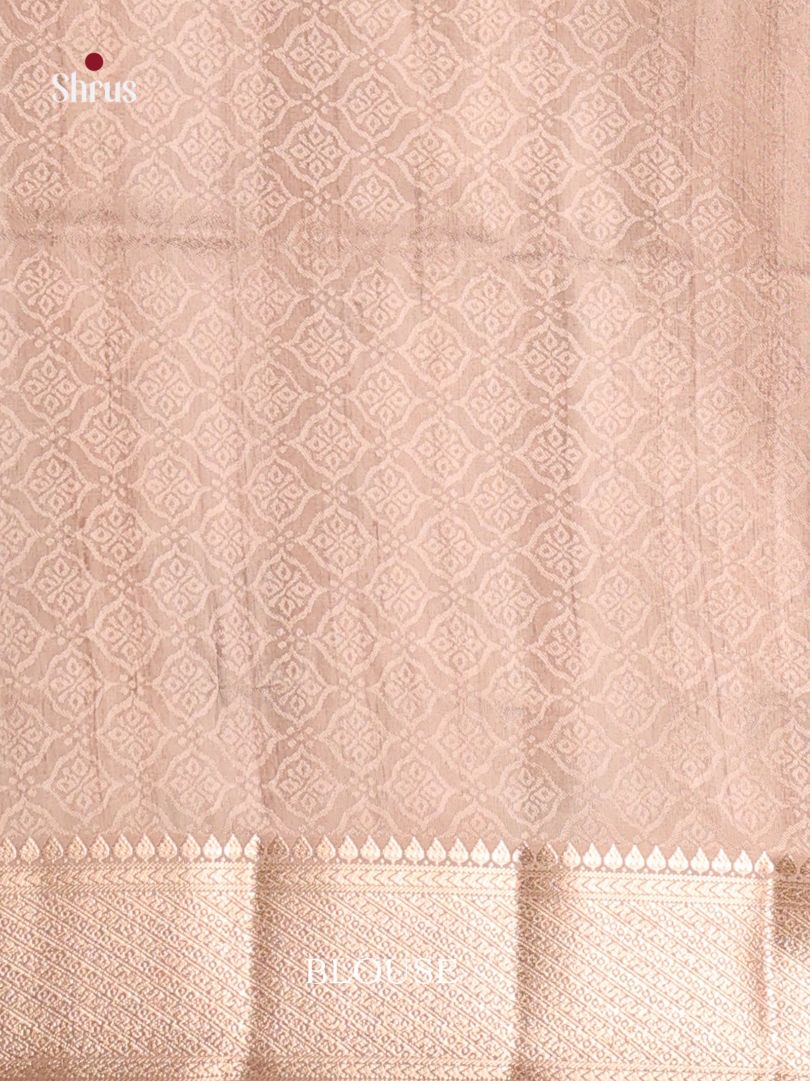 DHS25446 - Printed Semi Tussar Saree - Shop on Shrus.com
