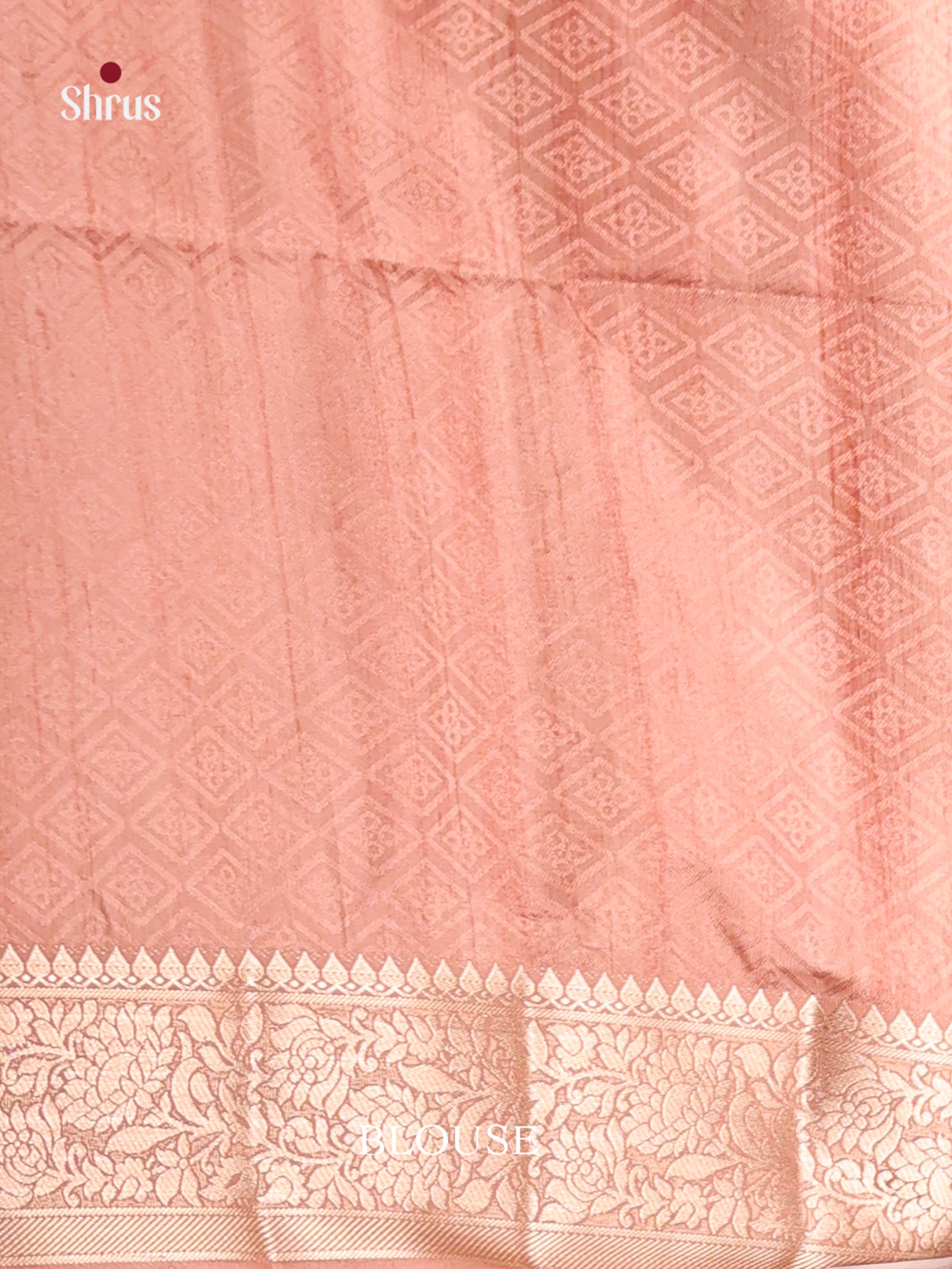 DHS25458 - Printed Semi Tussar Saree
