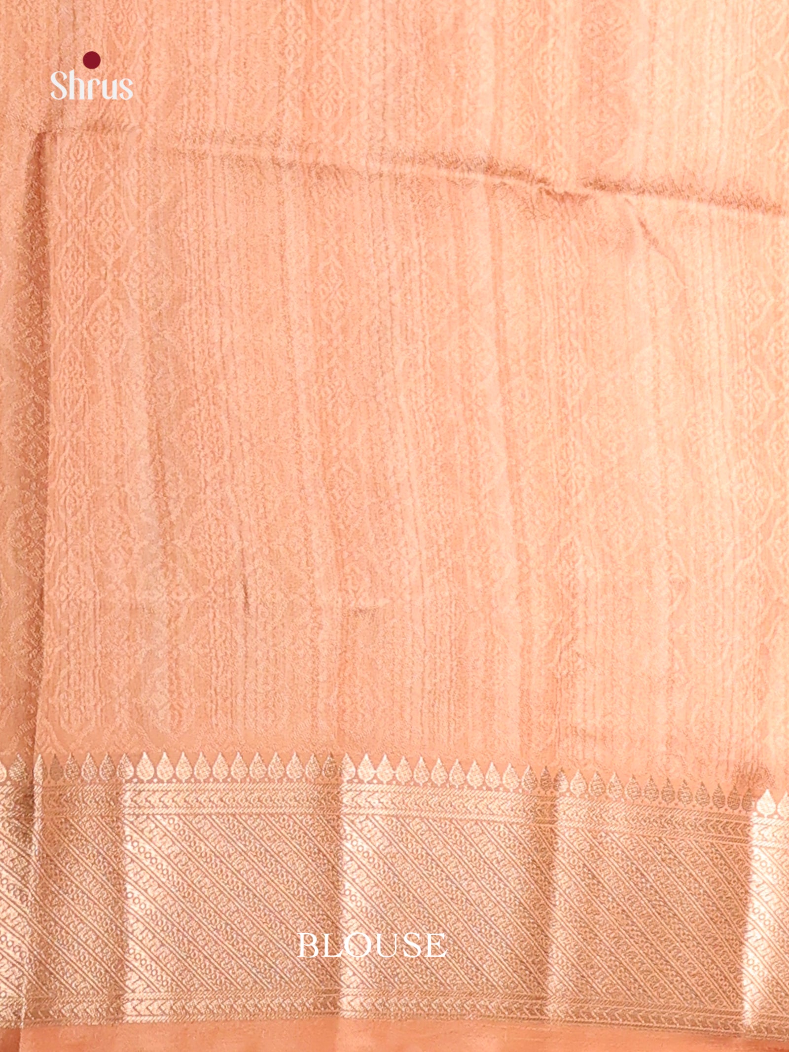 DHS25462 - Printed Semi Tussar Saree