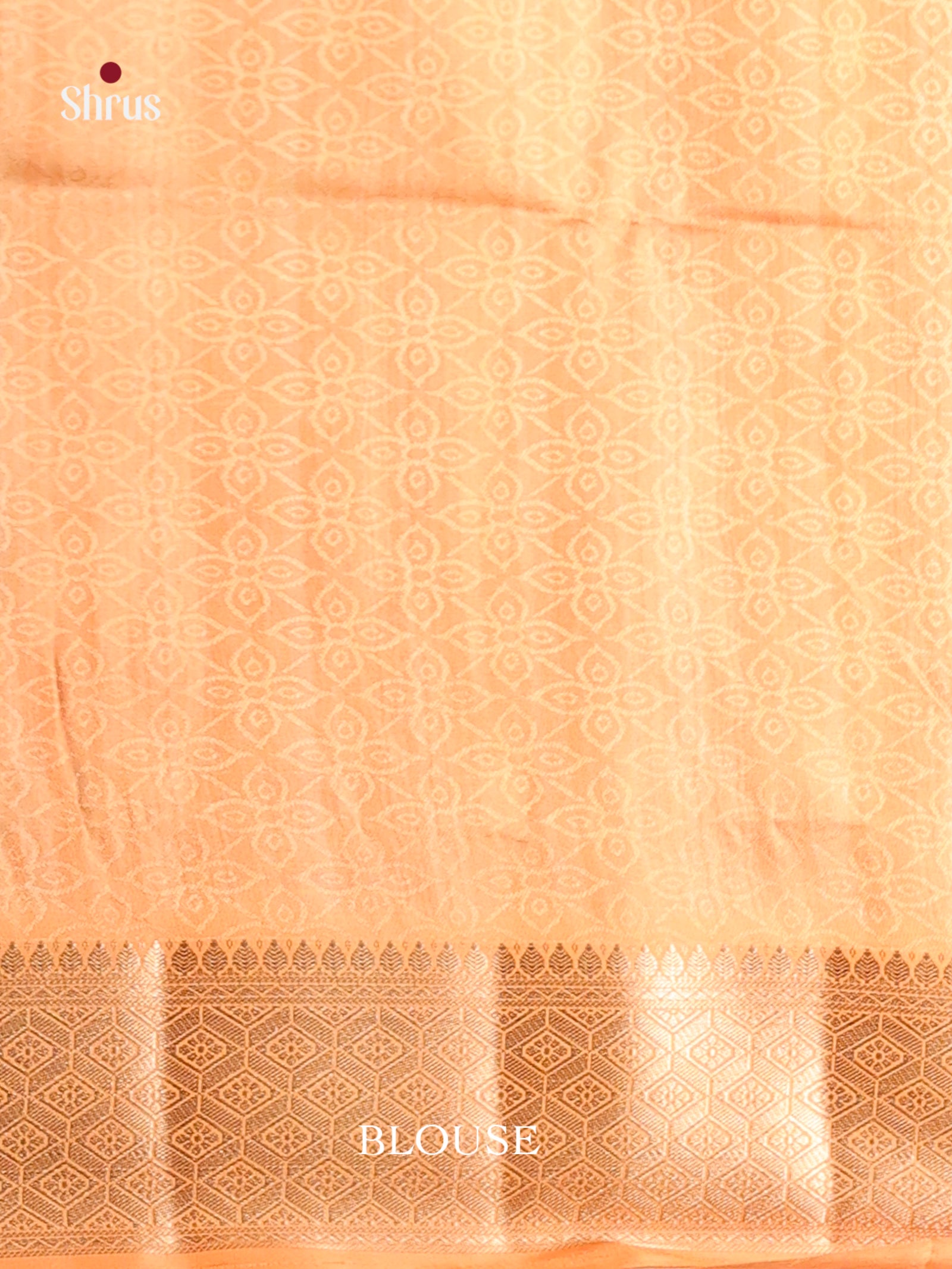 DHS25476 - Printed Semi Tussar Saree