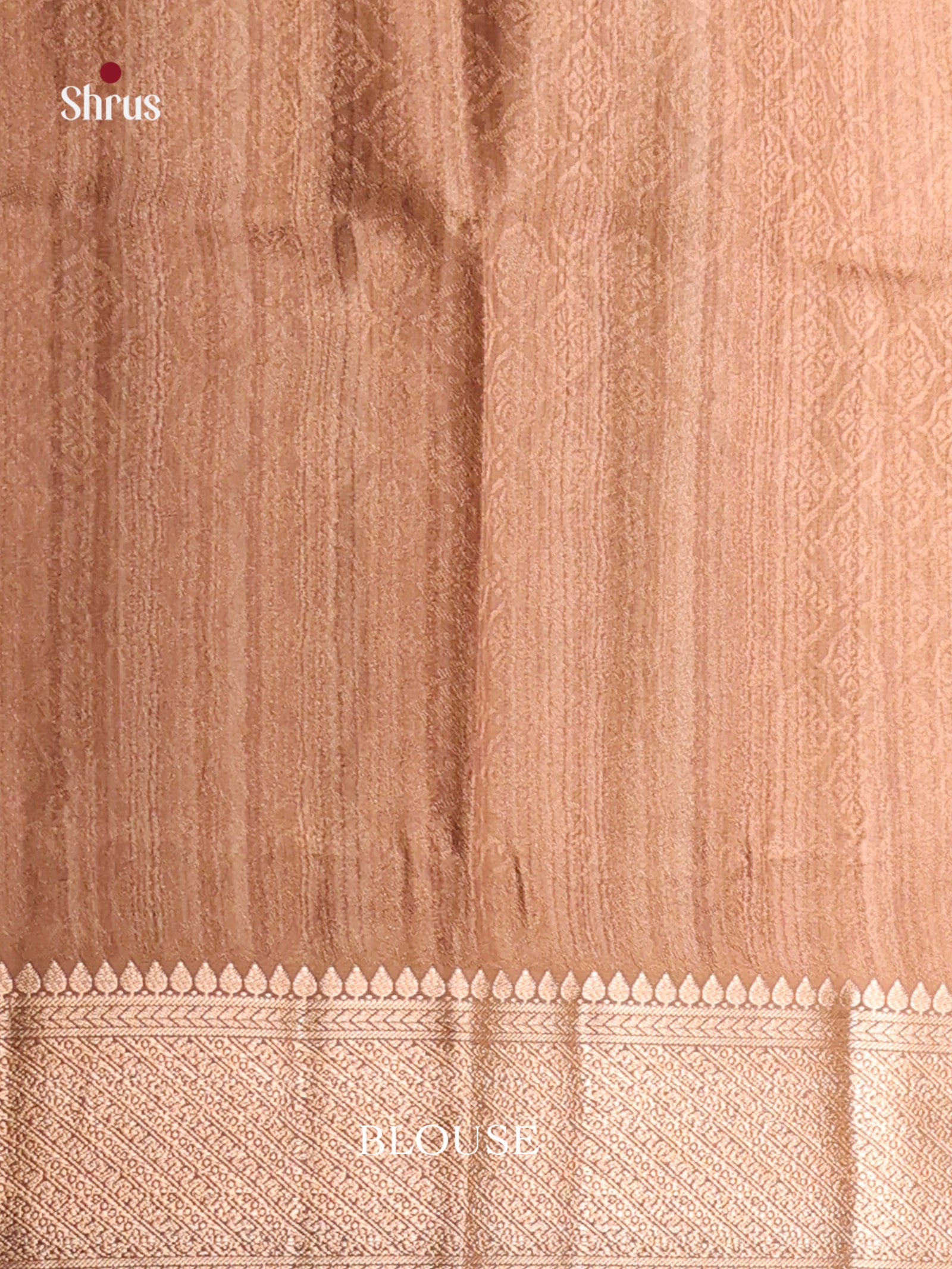 DHS25483 - Printed Semi Tussar Saree