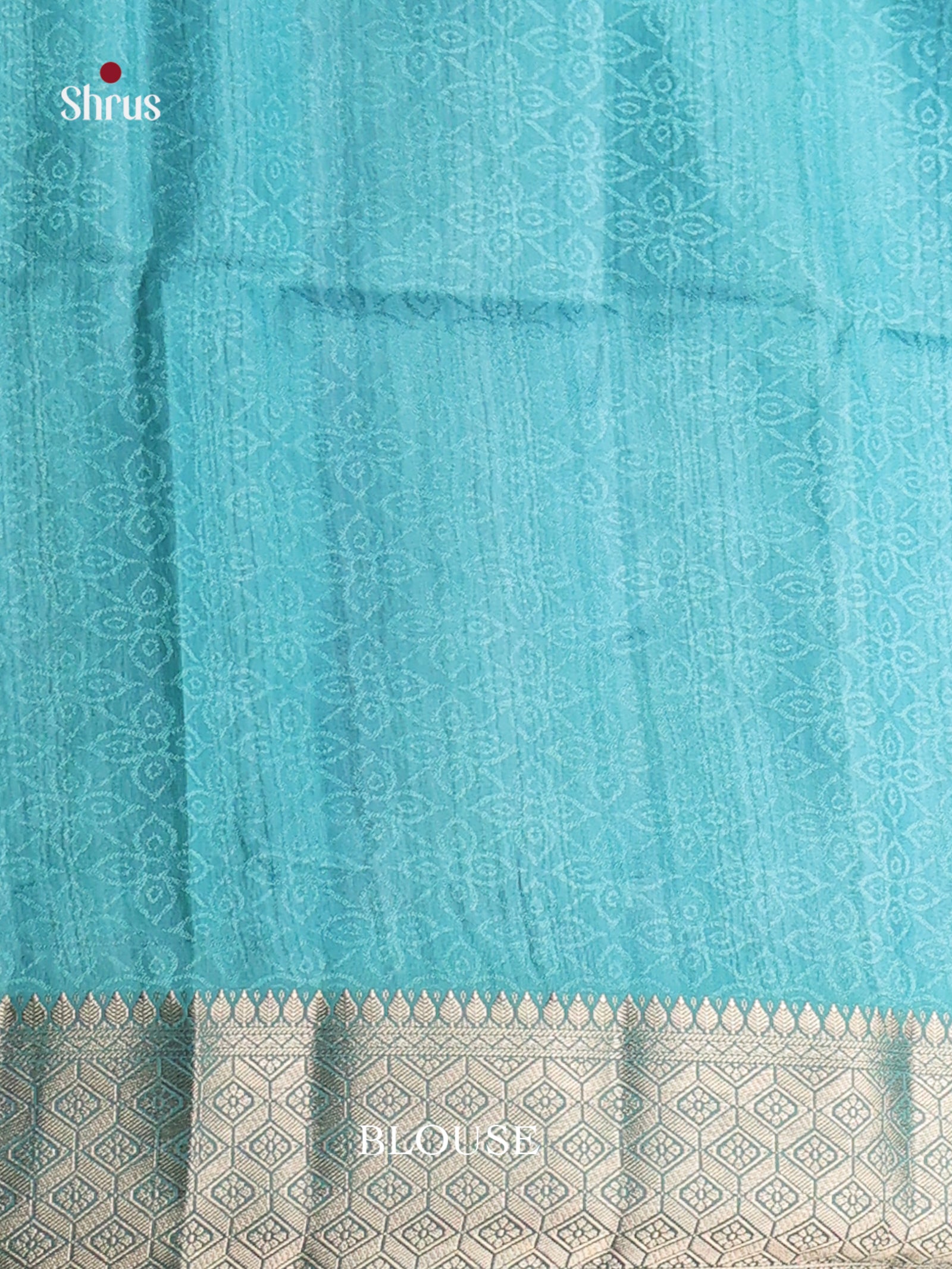 DHS25486 - Printed Semi Tussar Saree