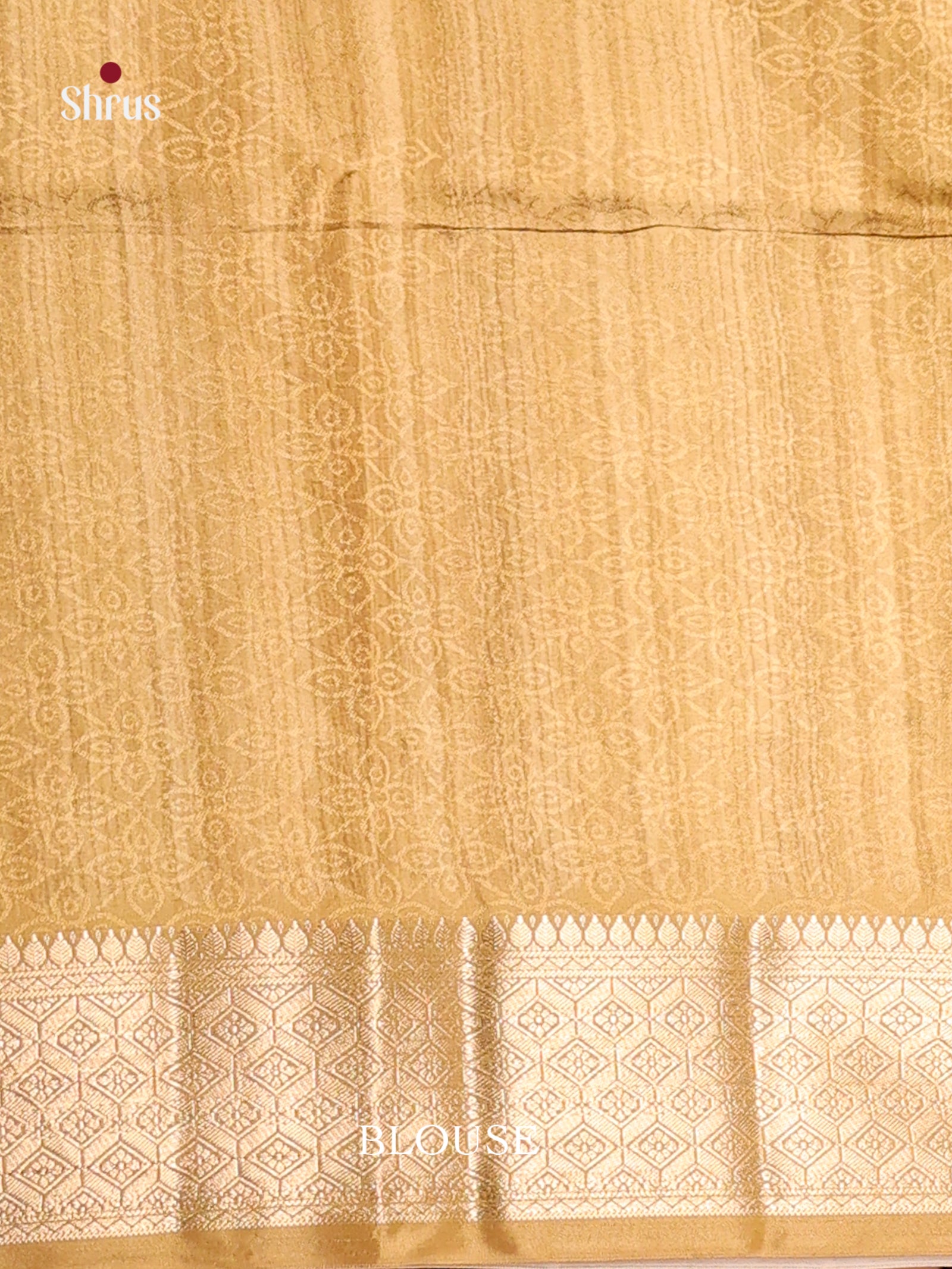 DHS25496 - Printed Semi Tussar Saree