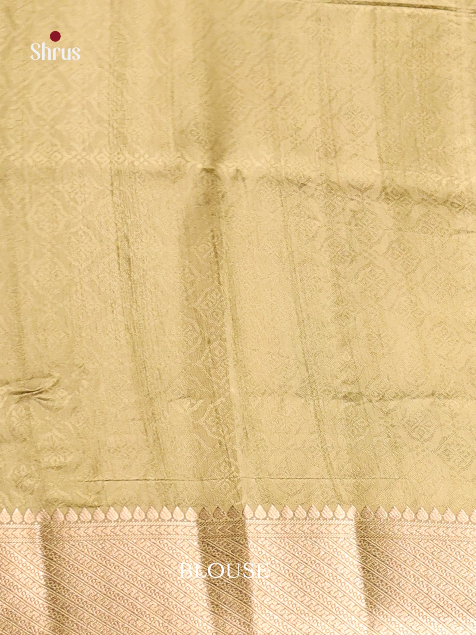 DHS25522 - Printed Semi Tussar Saree