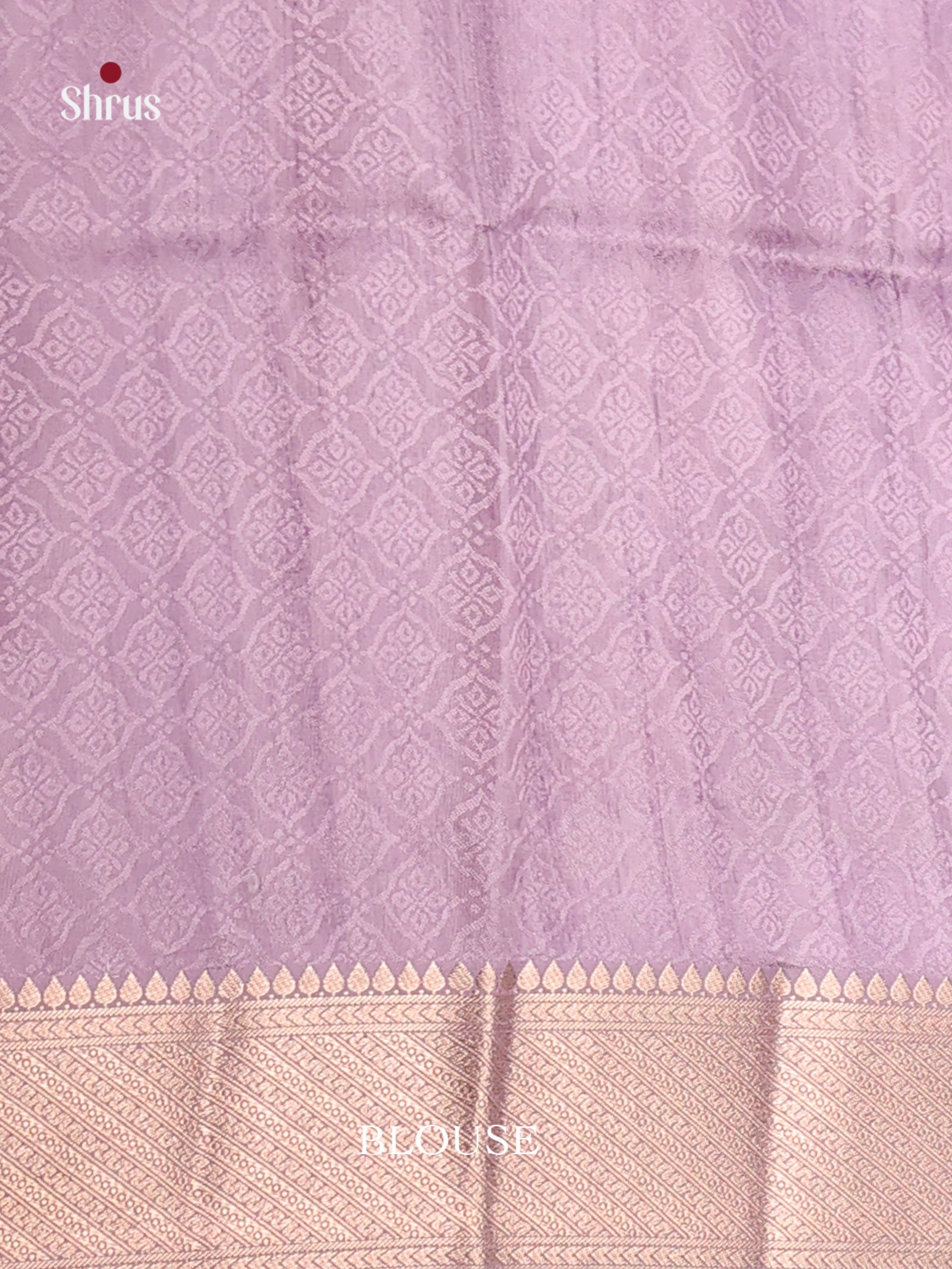 DHS25531 - Printed Semi Tussar Saree