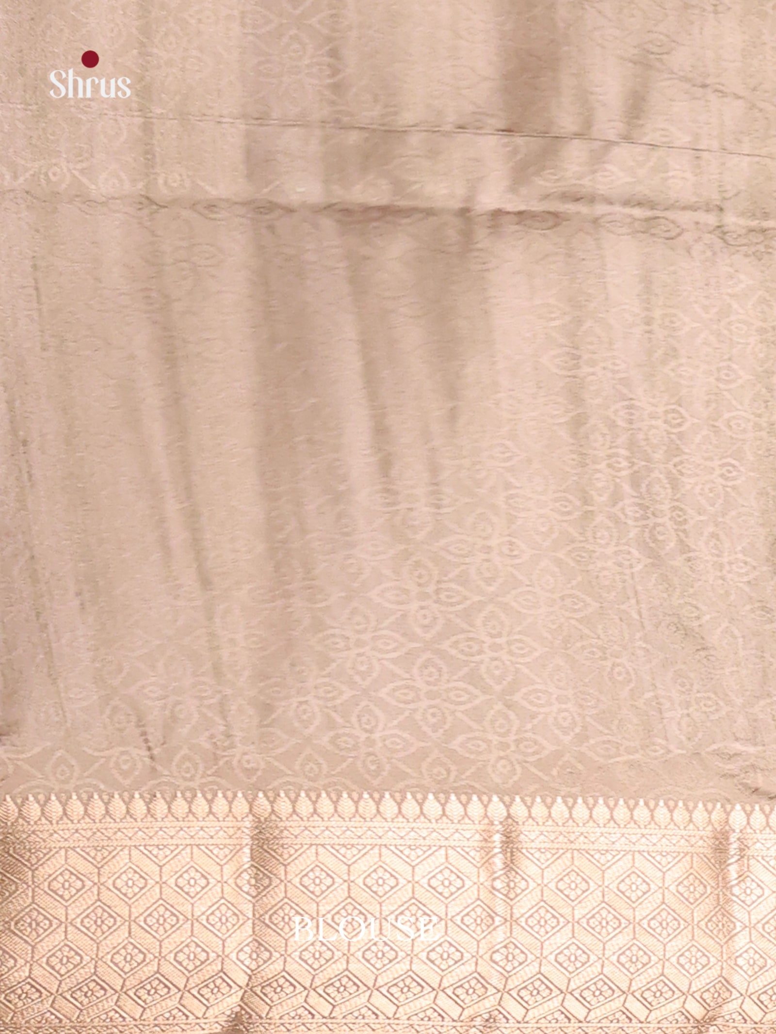 DHS25560 - Printed Semi Tussar Saree