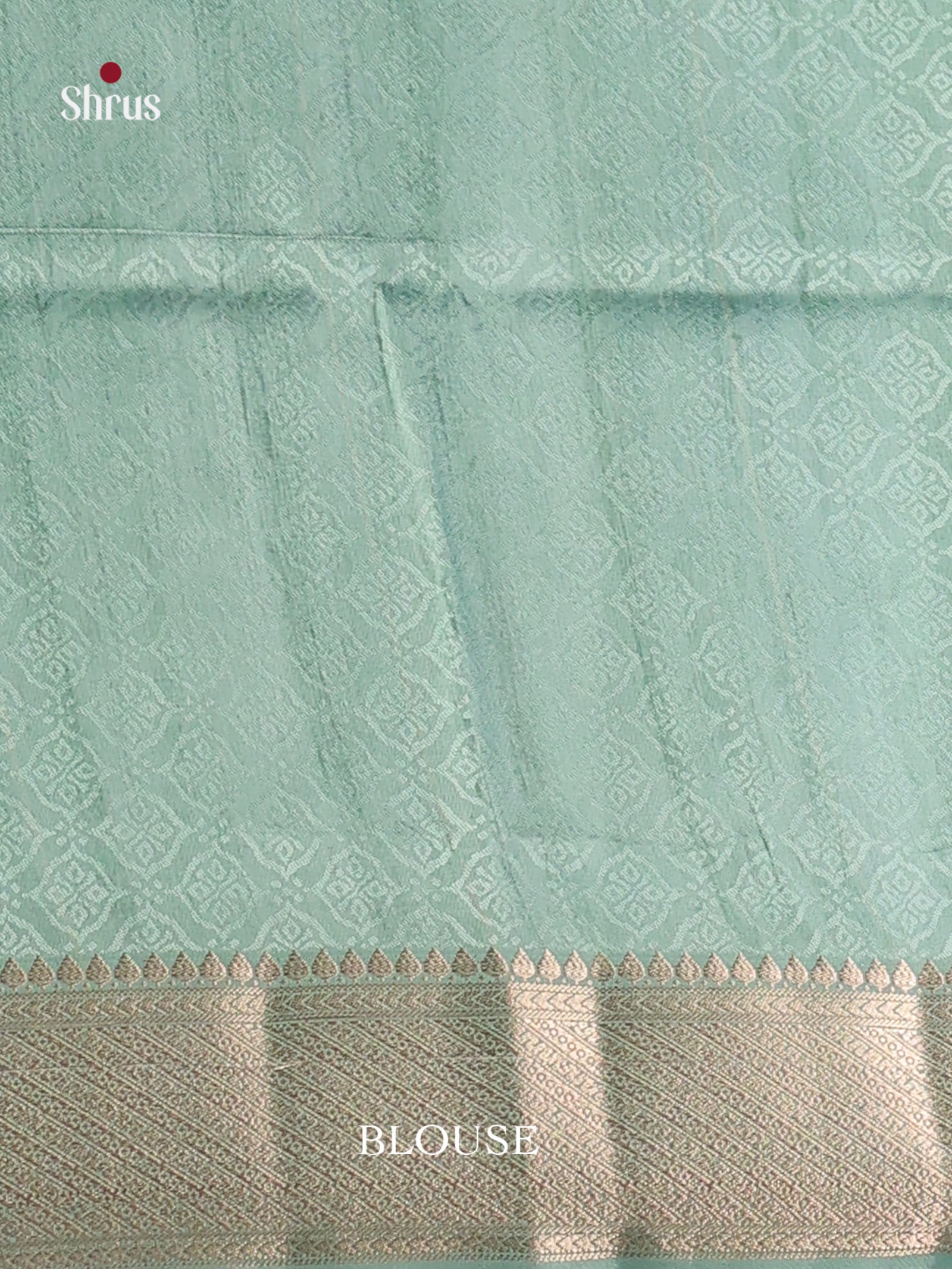 DHS25568 - Printed Semi Tussar Saree