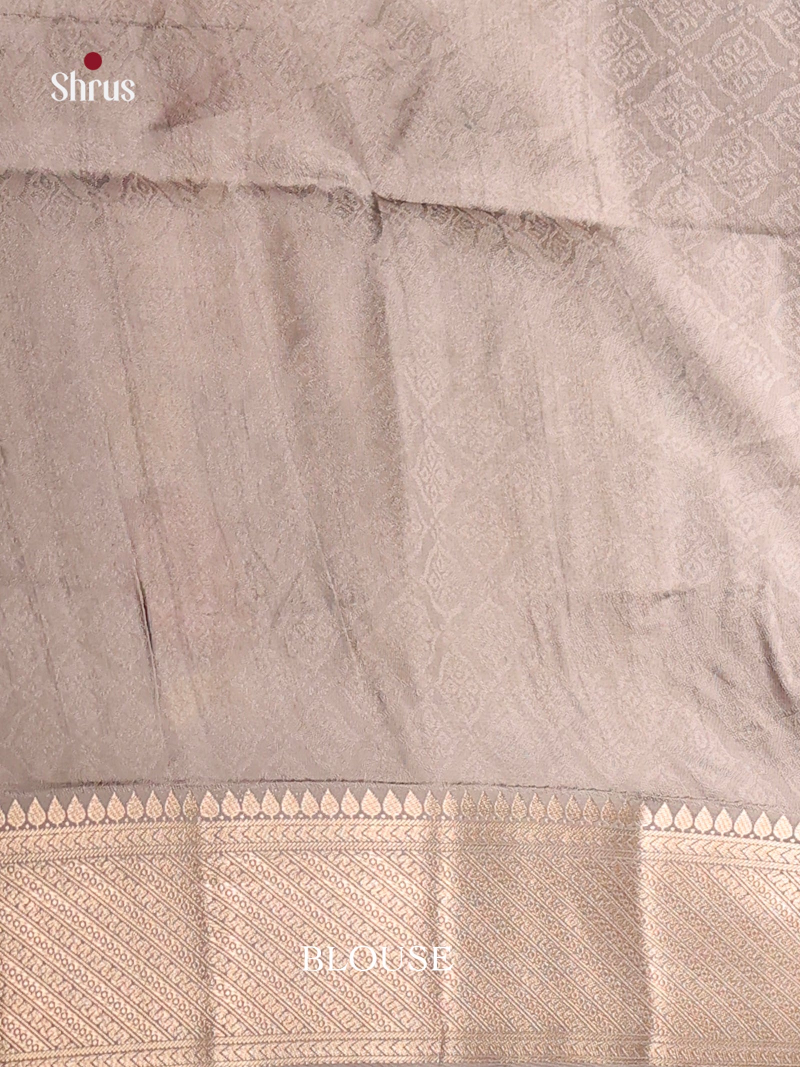 DHS25573 - Printed Semi Tussar Saree