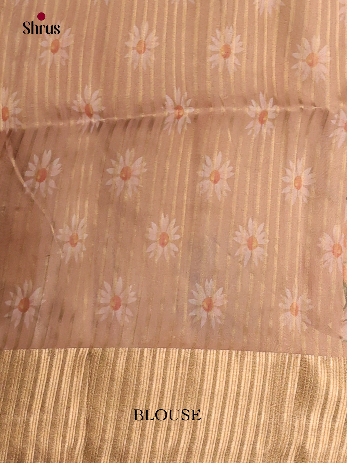 Grey & Brown - Semi Organza Saree