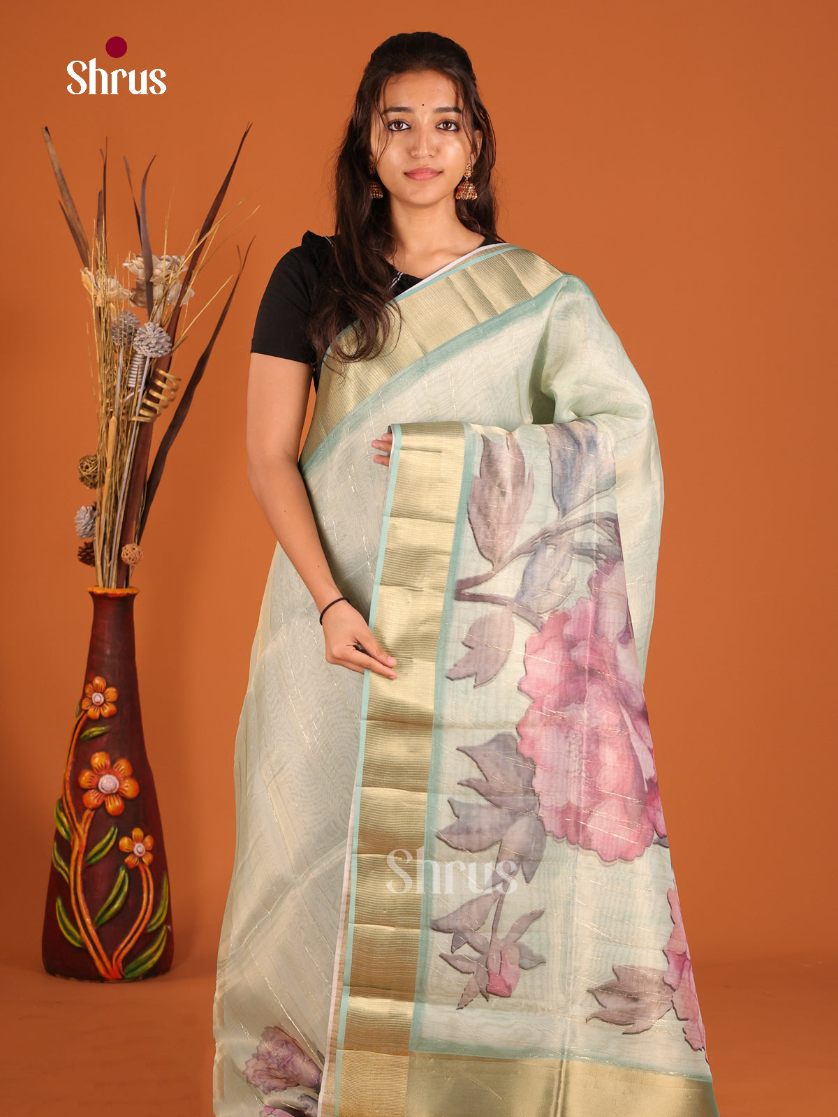 Pastel Green- Semi Organza Saree