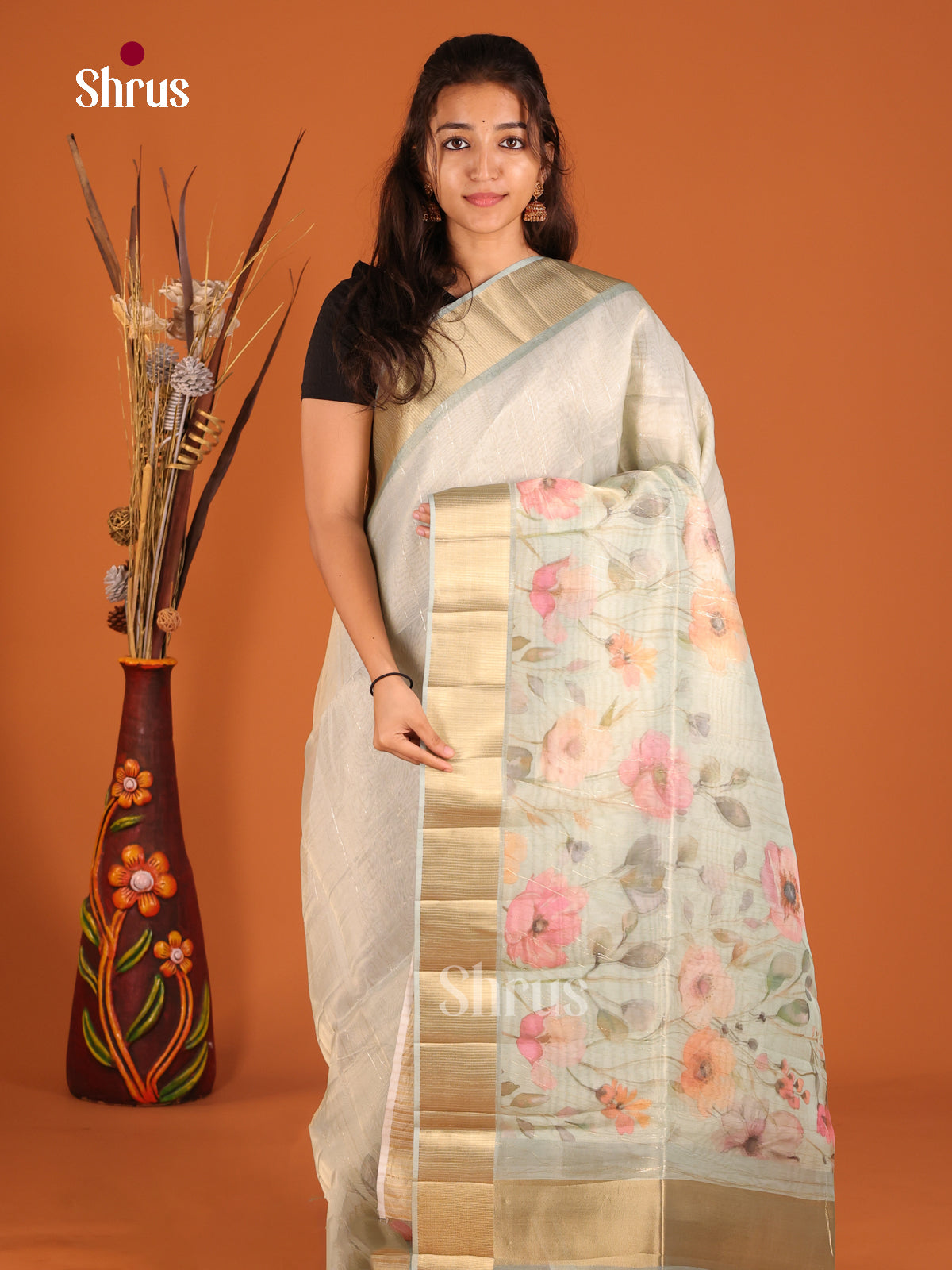 Grey Green - Semi Organza Saree